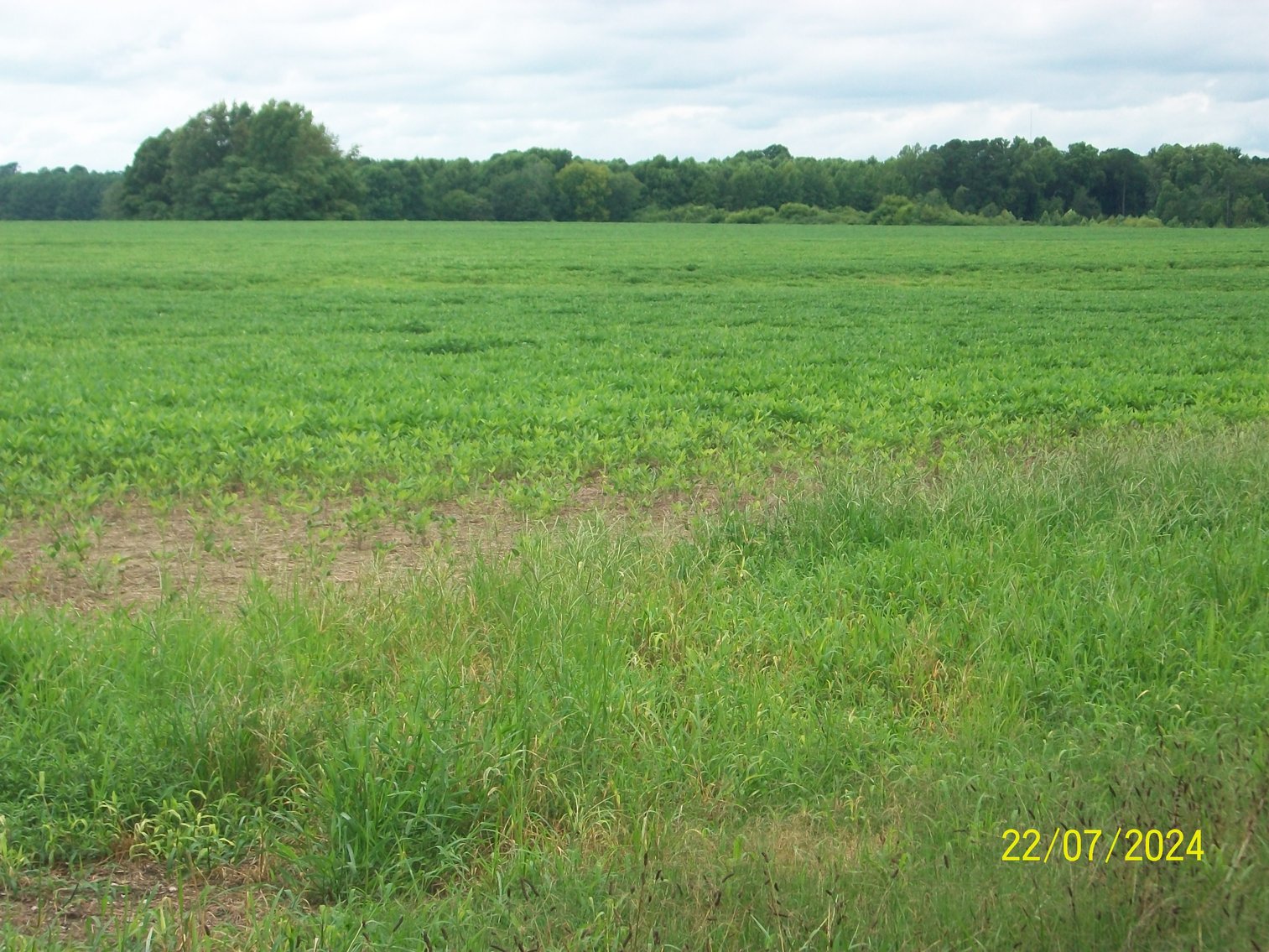 Image for Tract 3 - 150.3 acres