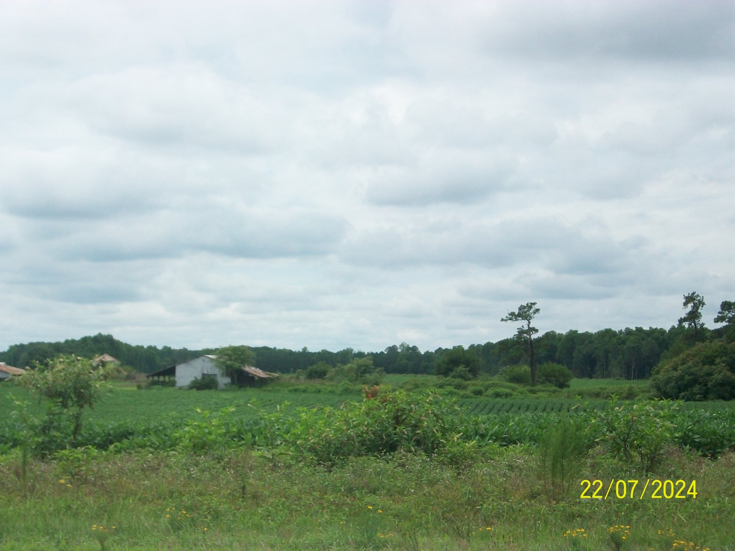 Image for Tract 4 - 121.28 acres