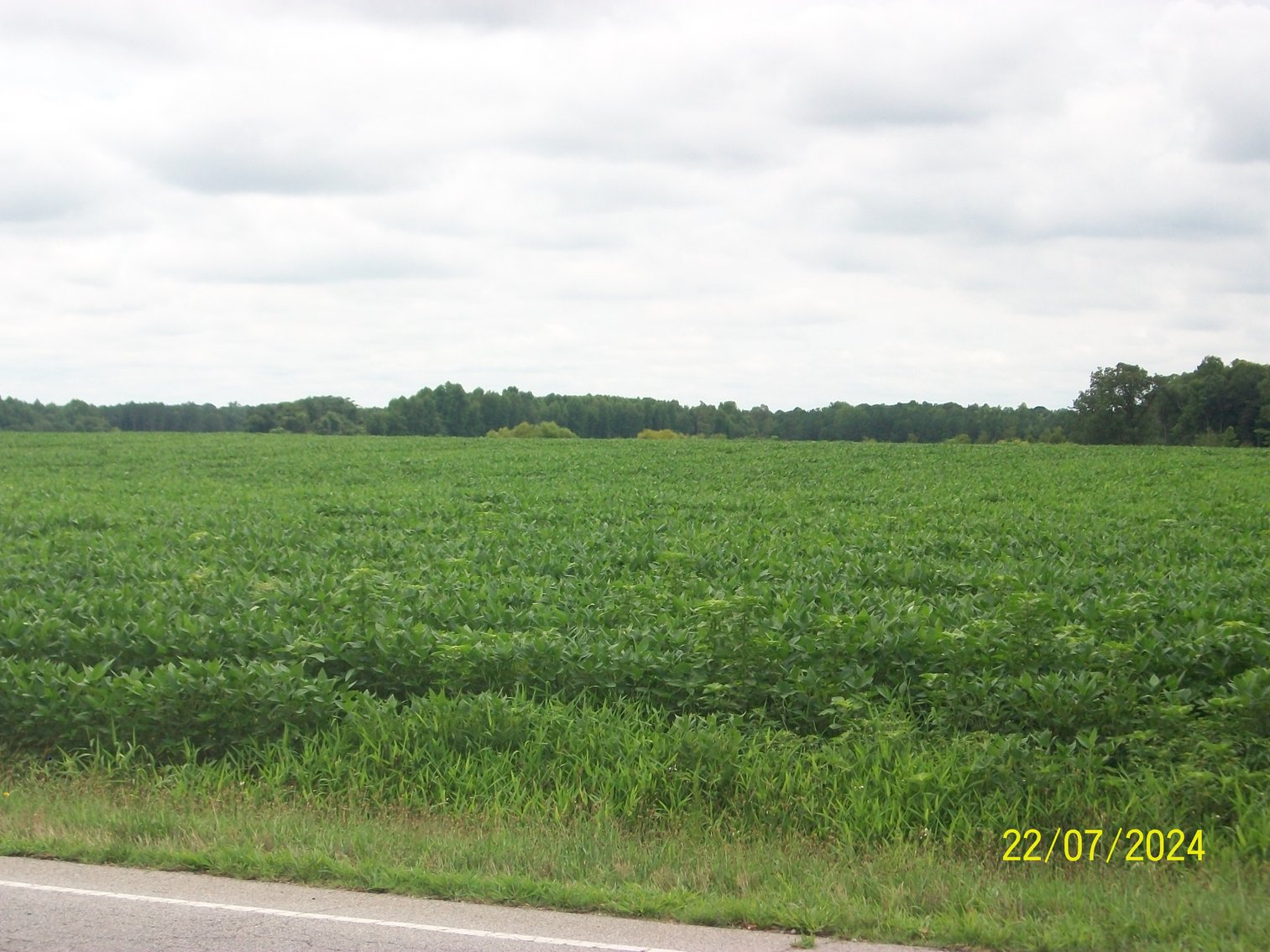 Image for Tract 4 - 121.28 acres