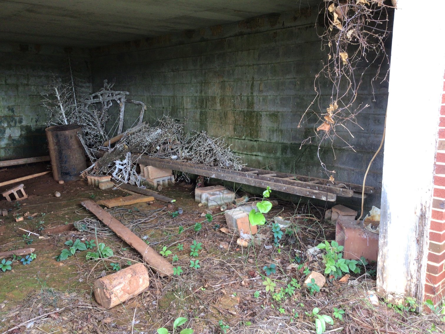 Image for Antique wooden step ladder and extension ladder