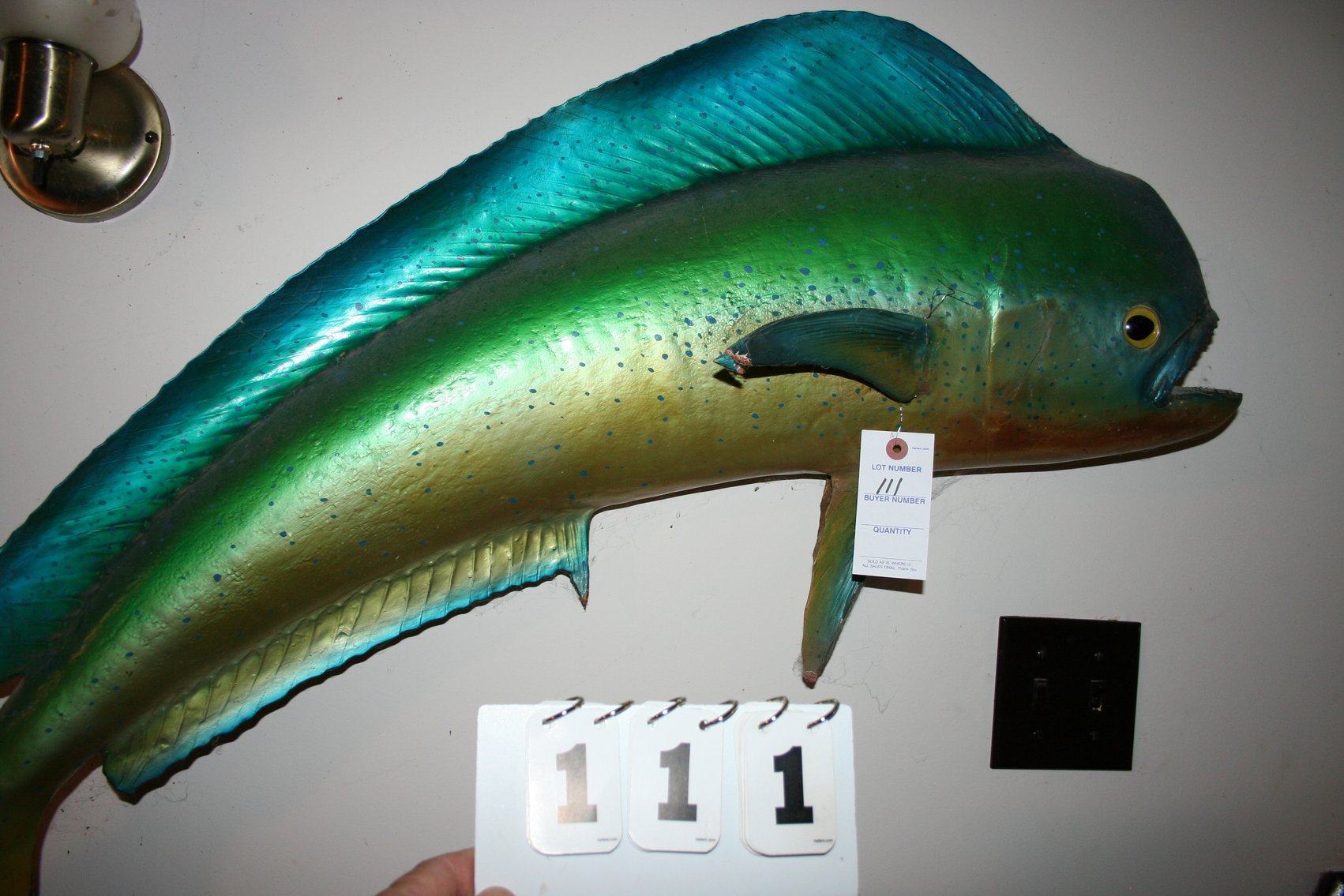 Image for Dolphin Mount