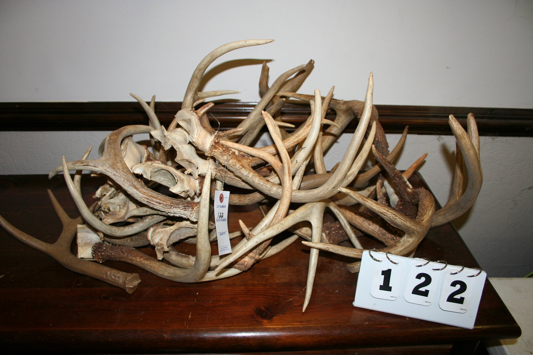 Image for Deer Antlers