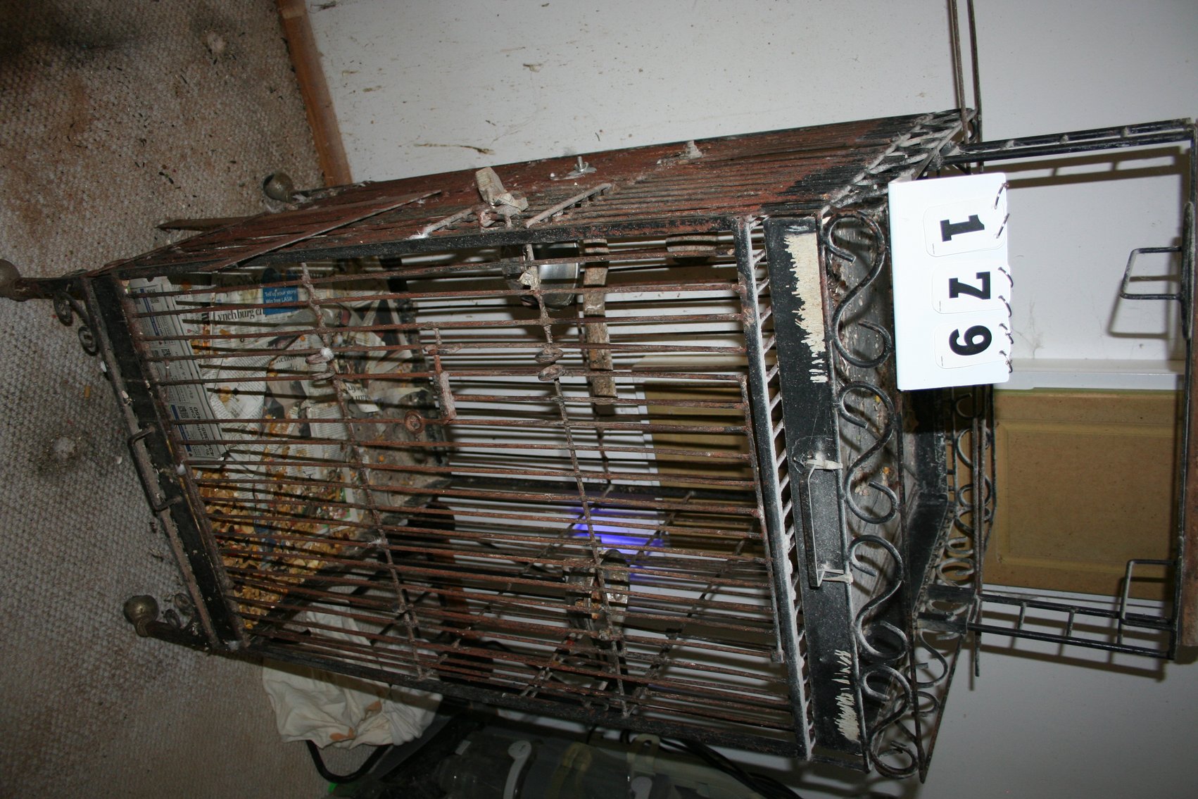 Image for Iron Bird Cage