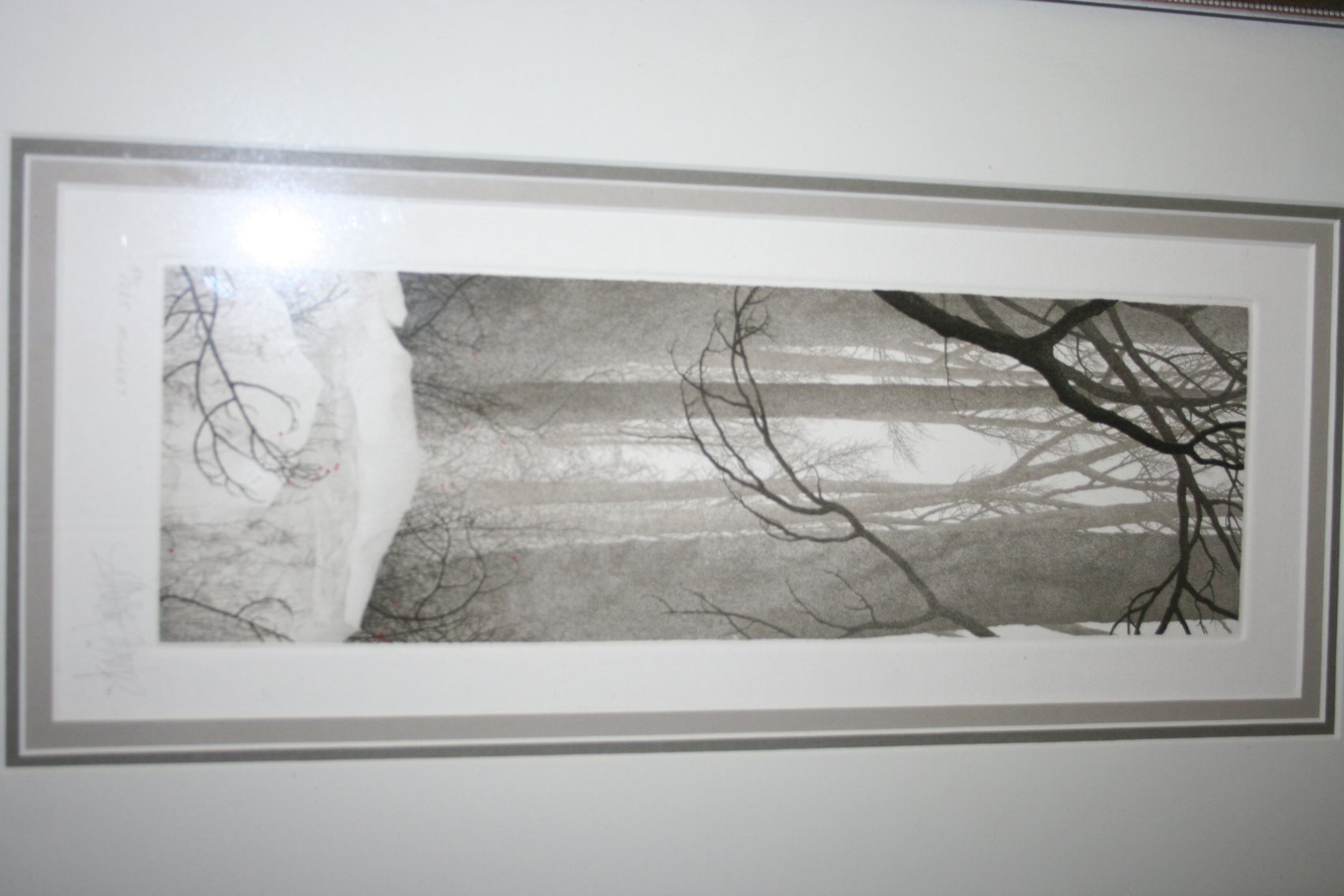 Image for Franklin Galambos Signed 50/285 