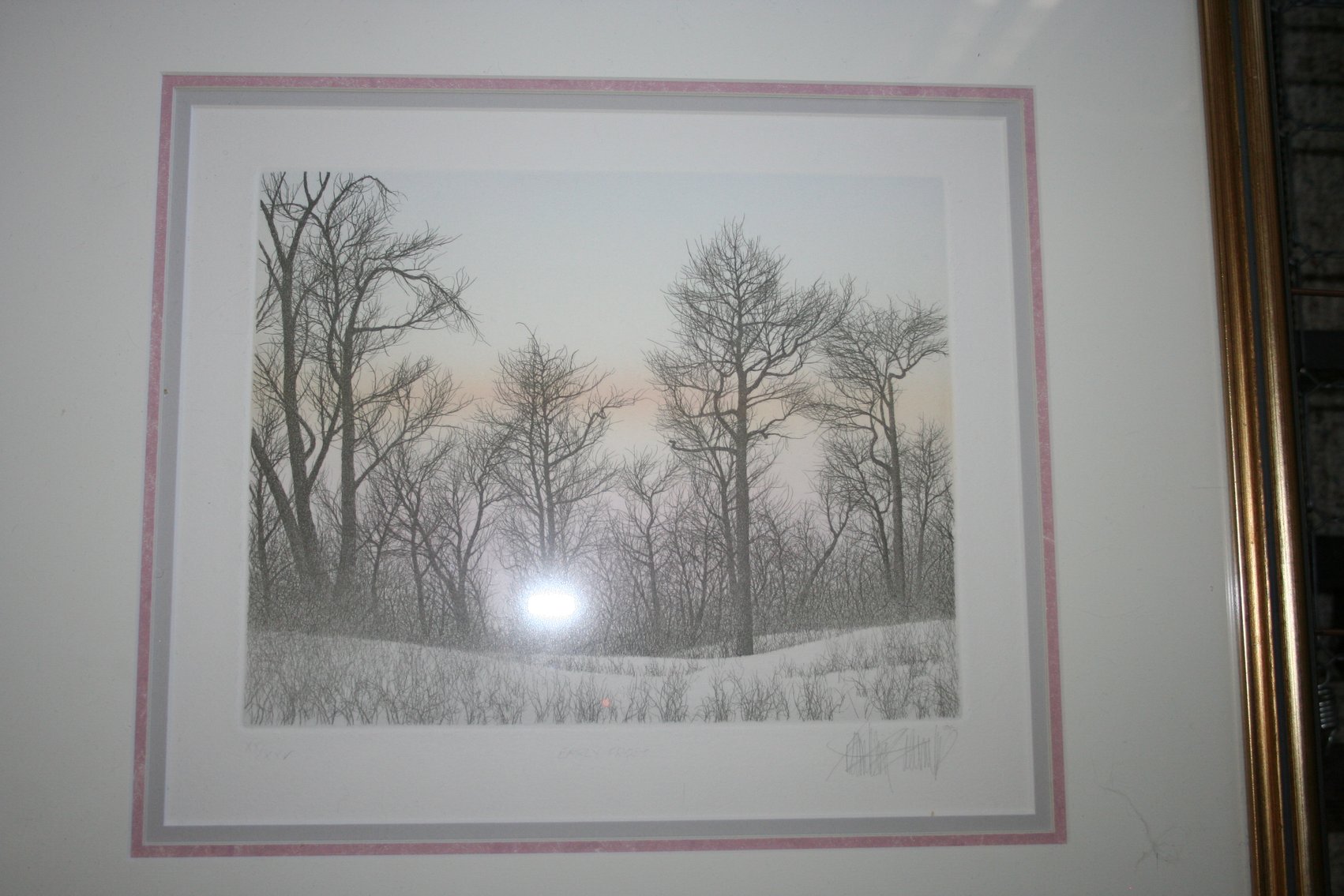 Image for Franklin Galambos Signed XX/XXV 