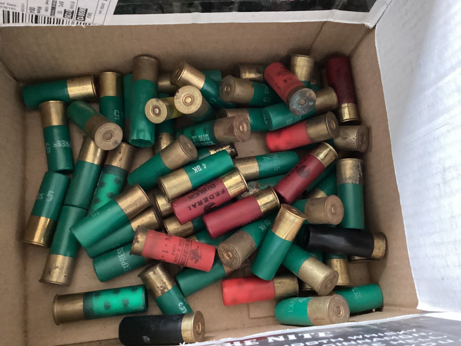Image for 12 Gauge Shotgun Shells