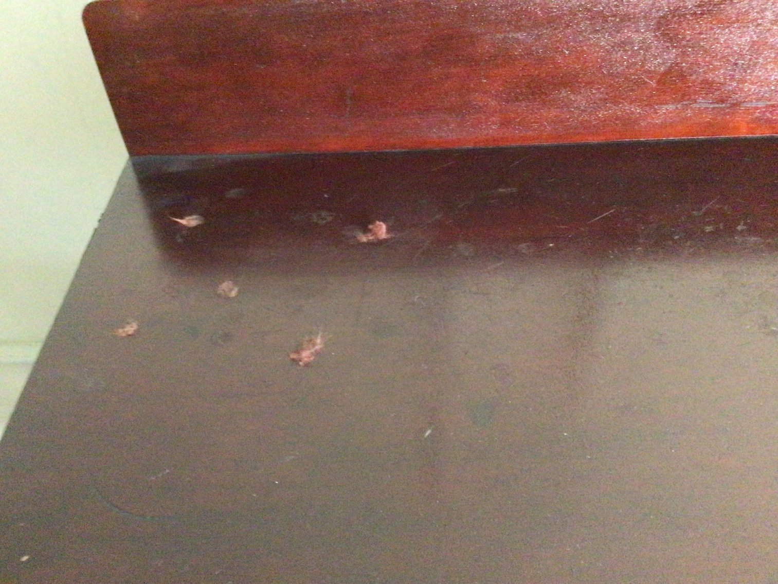 Image for Library Table