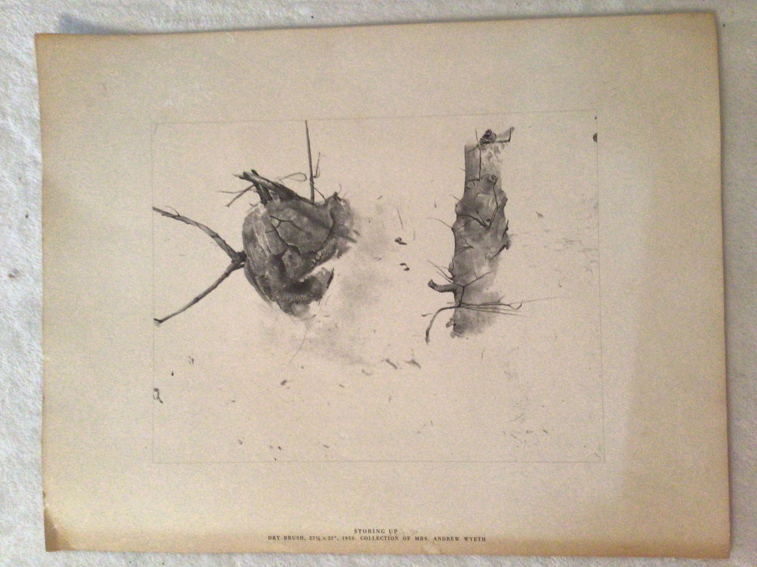 Image for Collection of 4 Unframed Prints