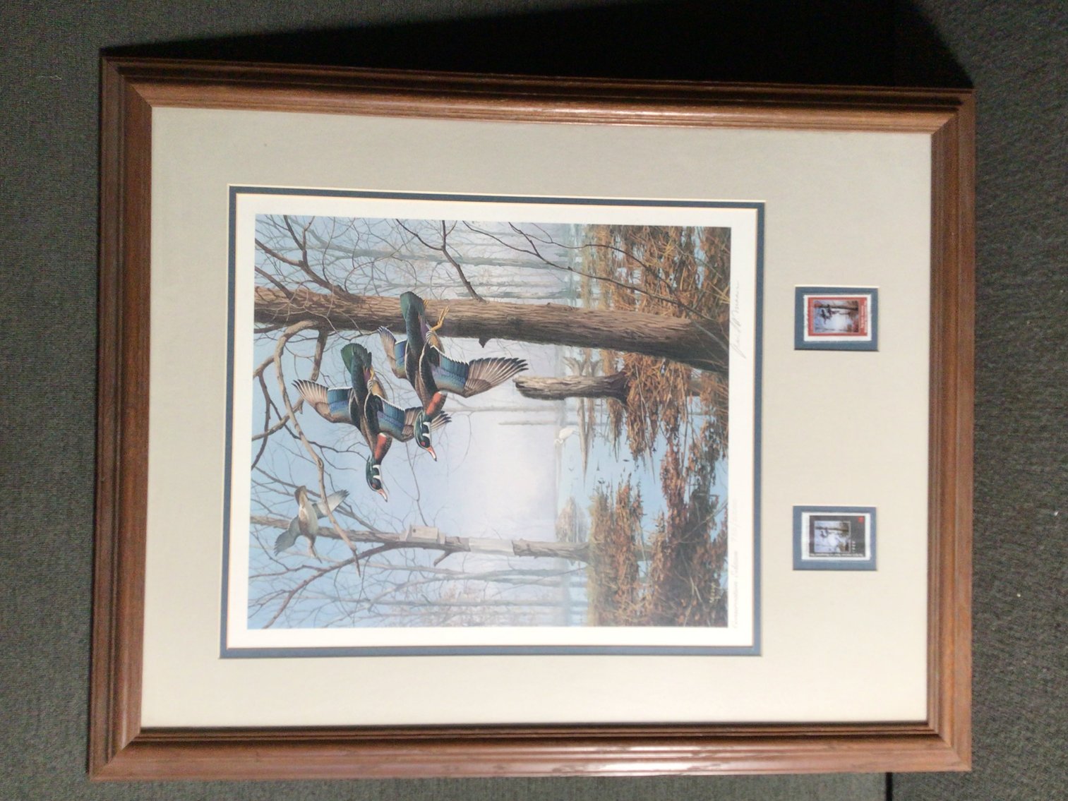 Image for Ducks Unlimited Print
