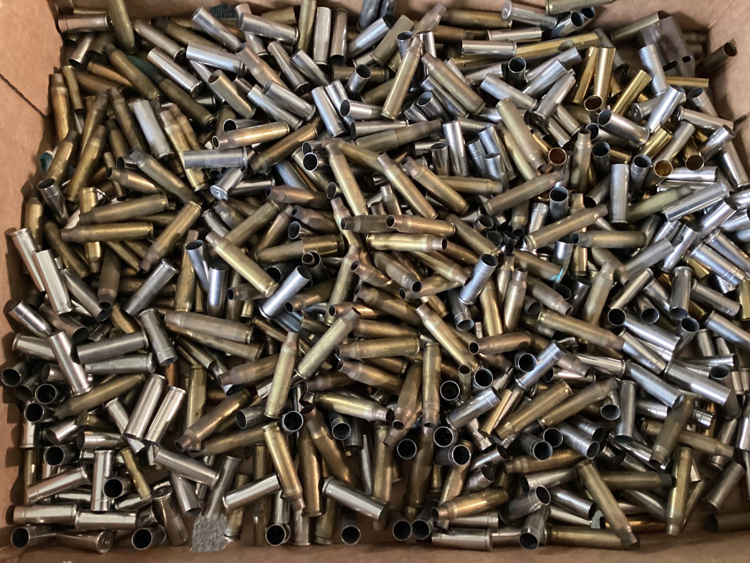 Image for Shell Brass for Reloading
