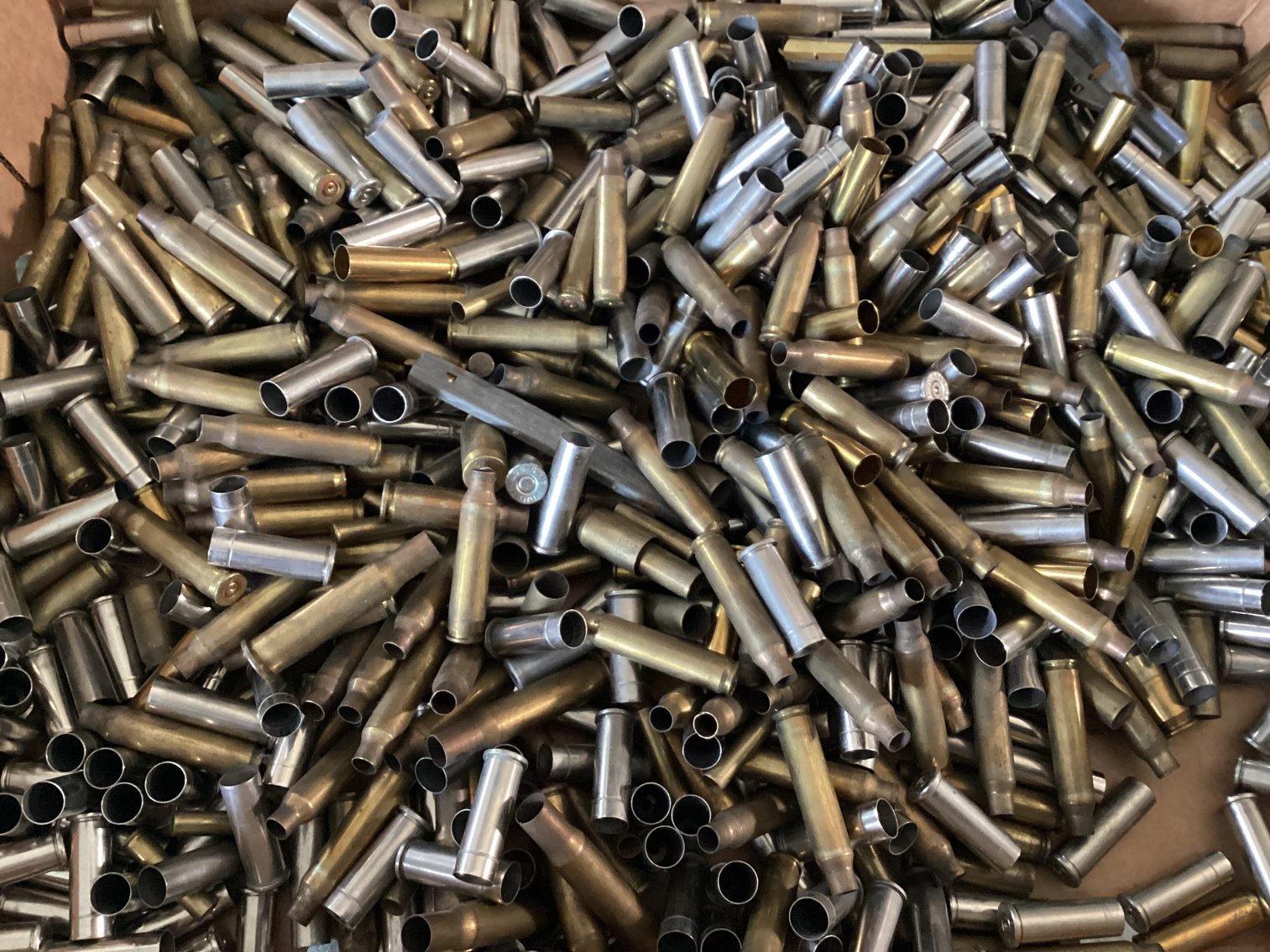 Image for Shell Brass for Reloading
