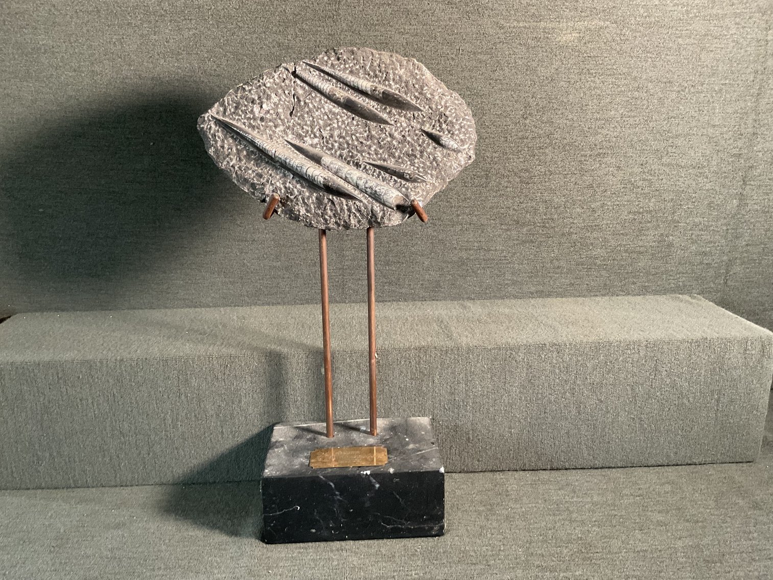 Image for Orthoceras Fossil on stand