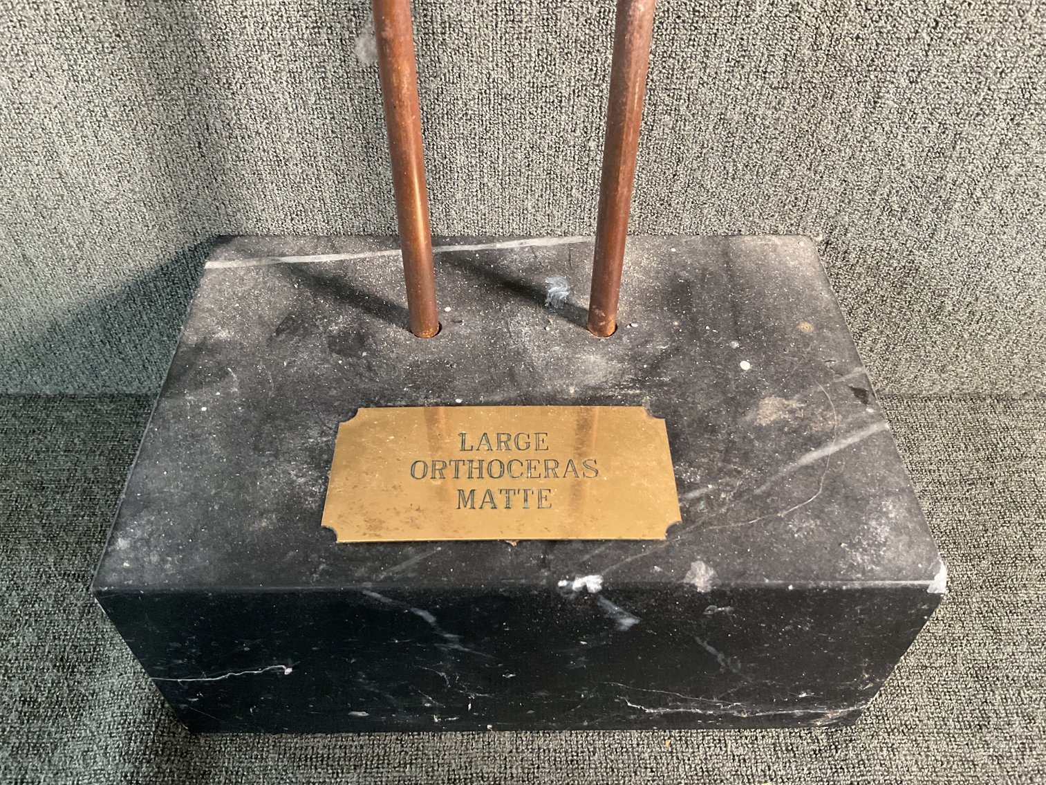 Image for Orthoceras Fossil on stand