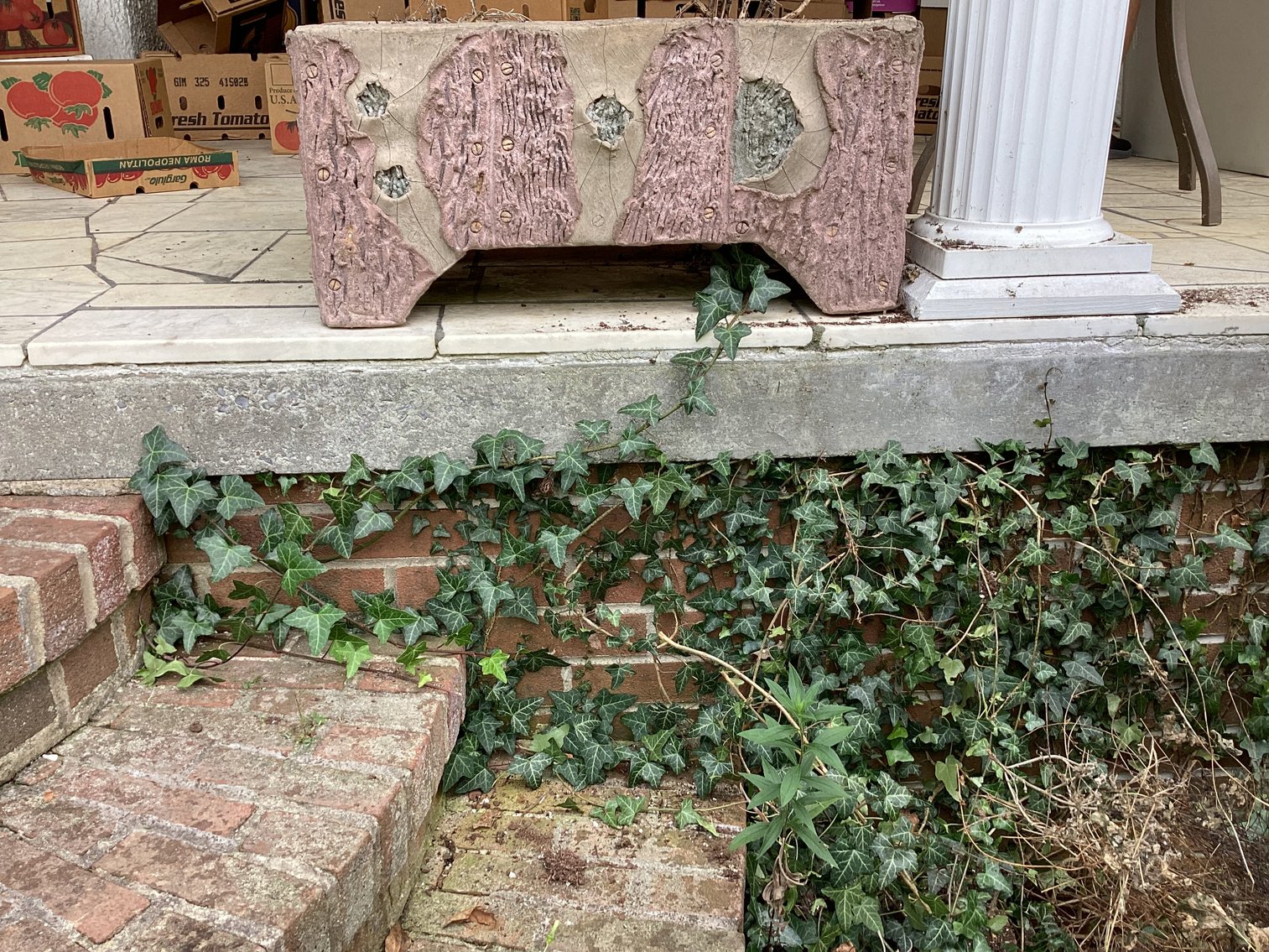 Image for Concrete planters