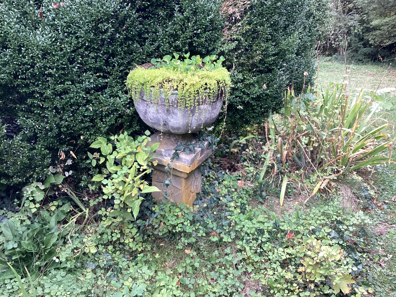 Image for Urn #2 with Concrete Pedestal.