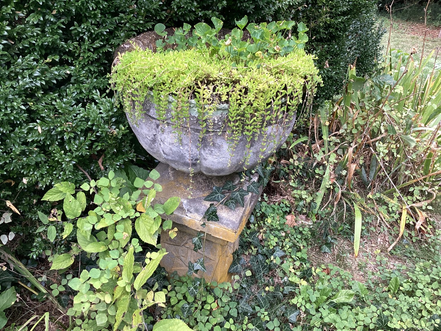 Image for Urn #2 with Concrete Pedestal.