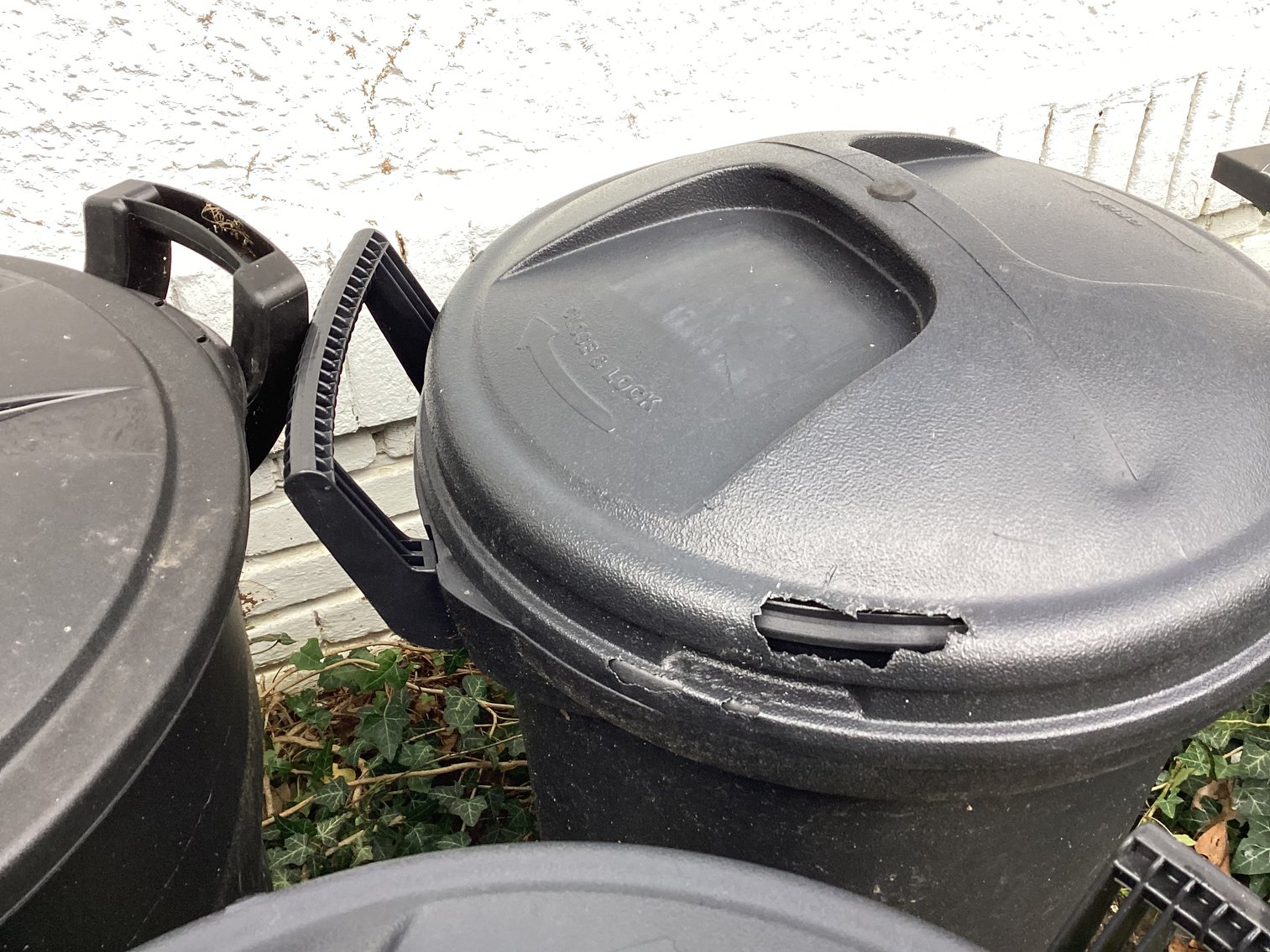 Image for Trash cans