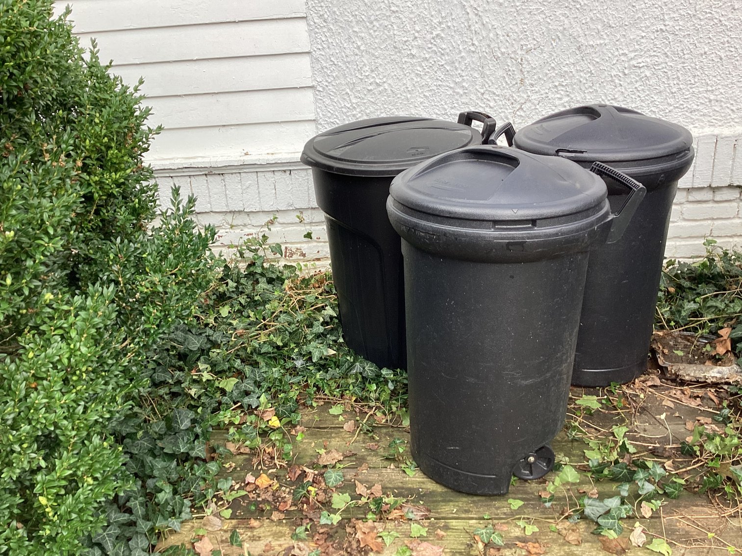 Image for Trash cans
