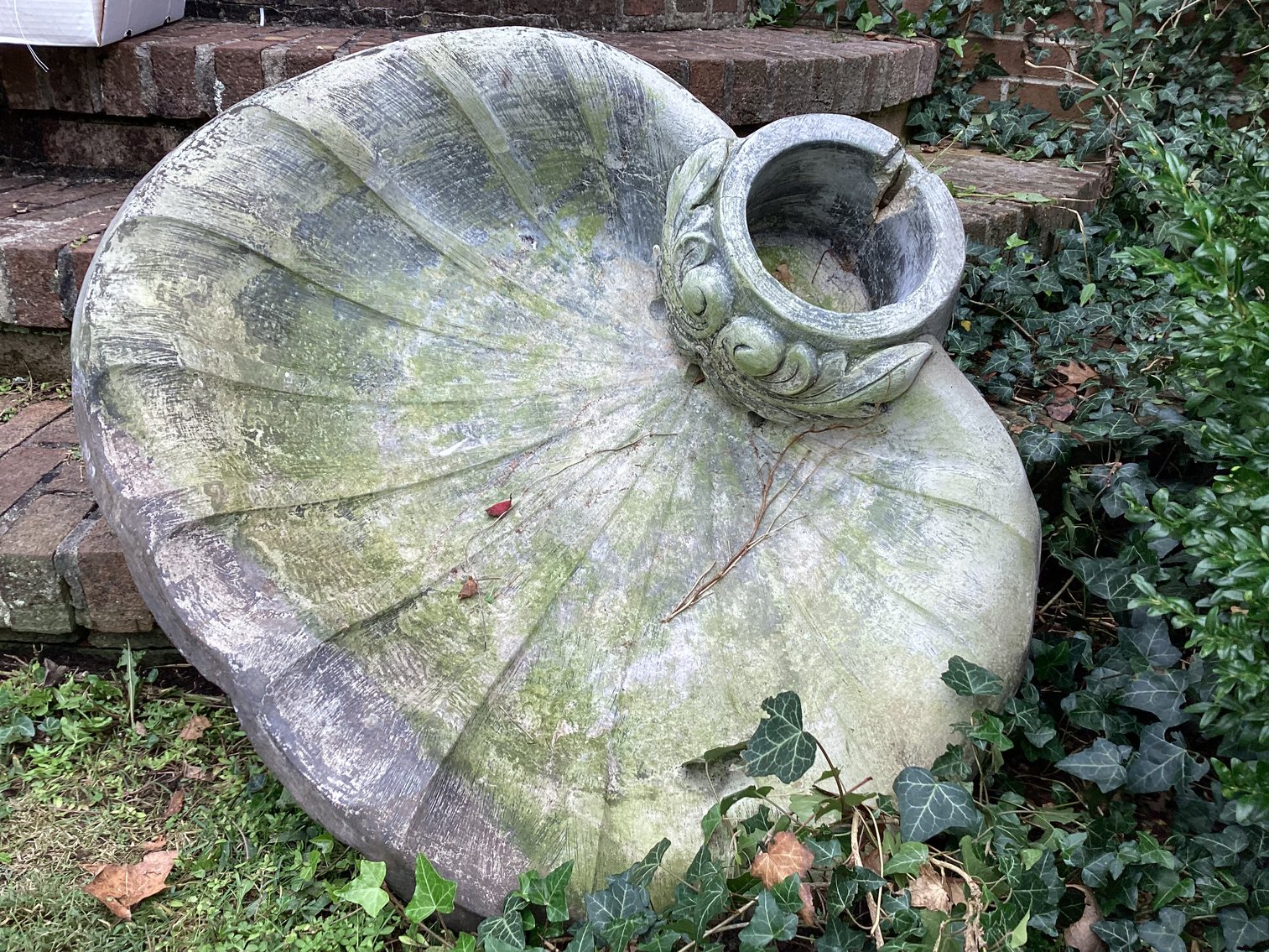 Image for Bowl to birdbath