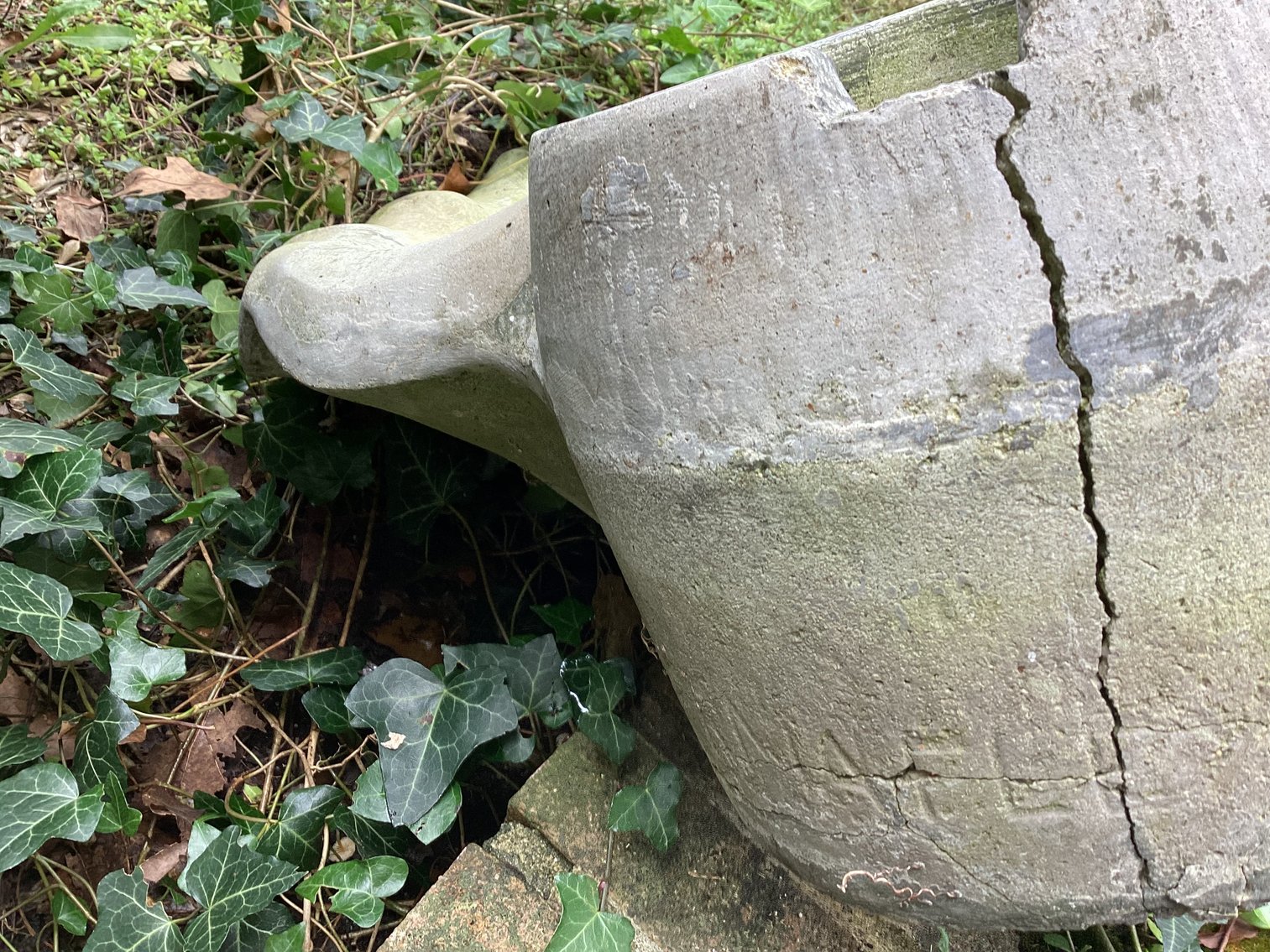 Image for Bowl to birdbath