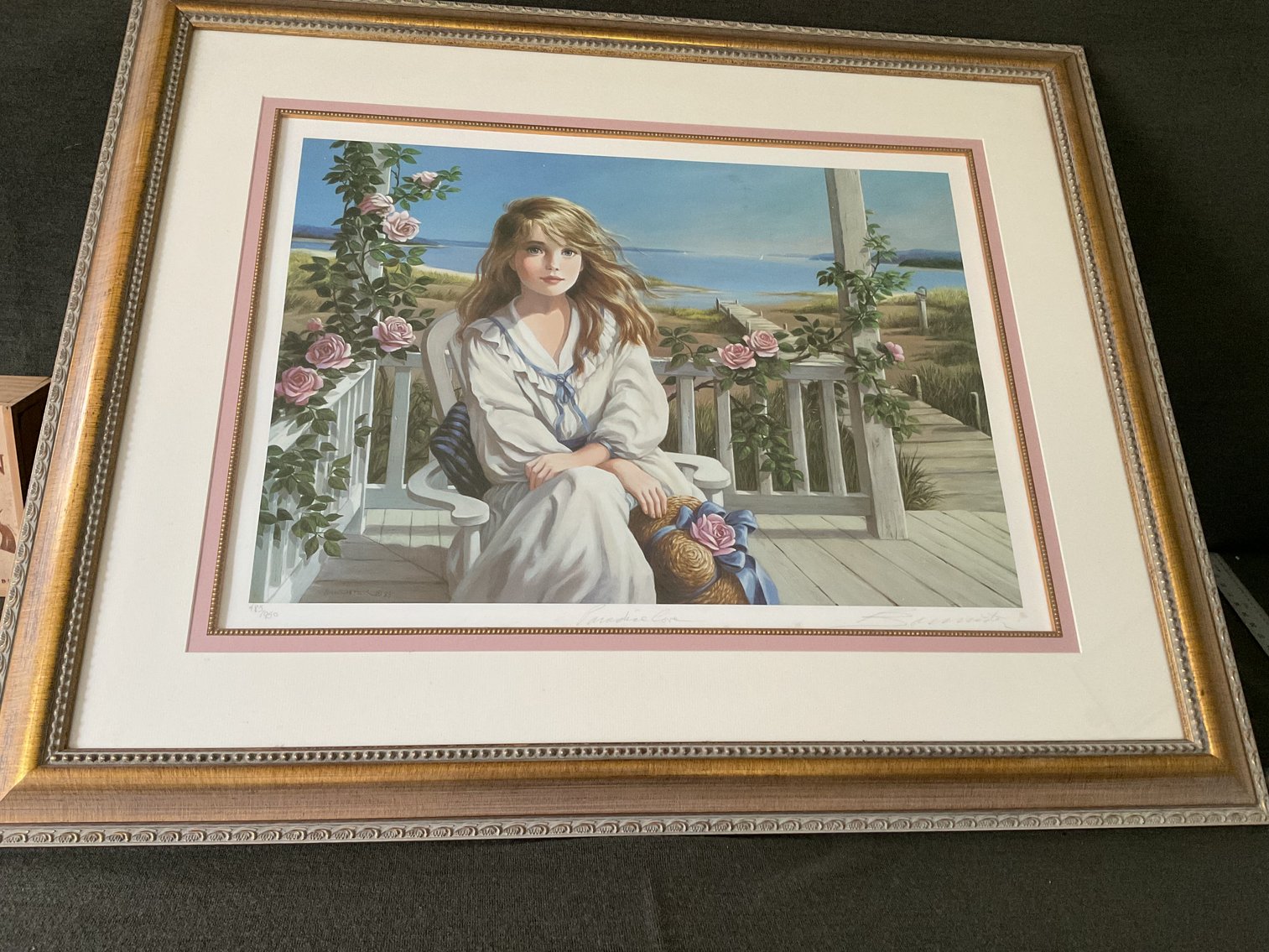 Image for Print in Professional Frame