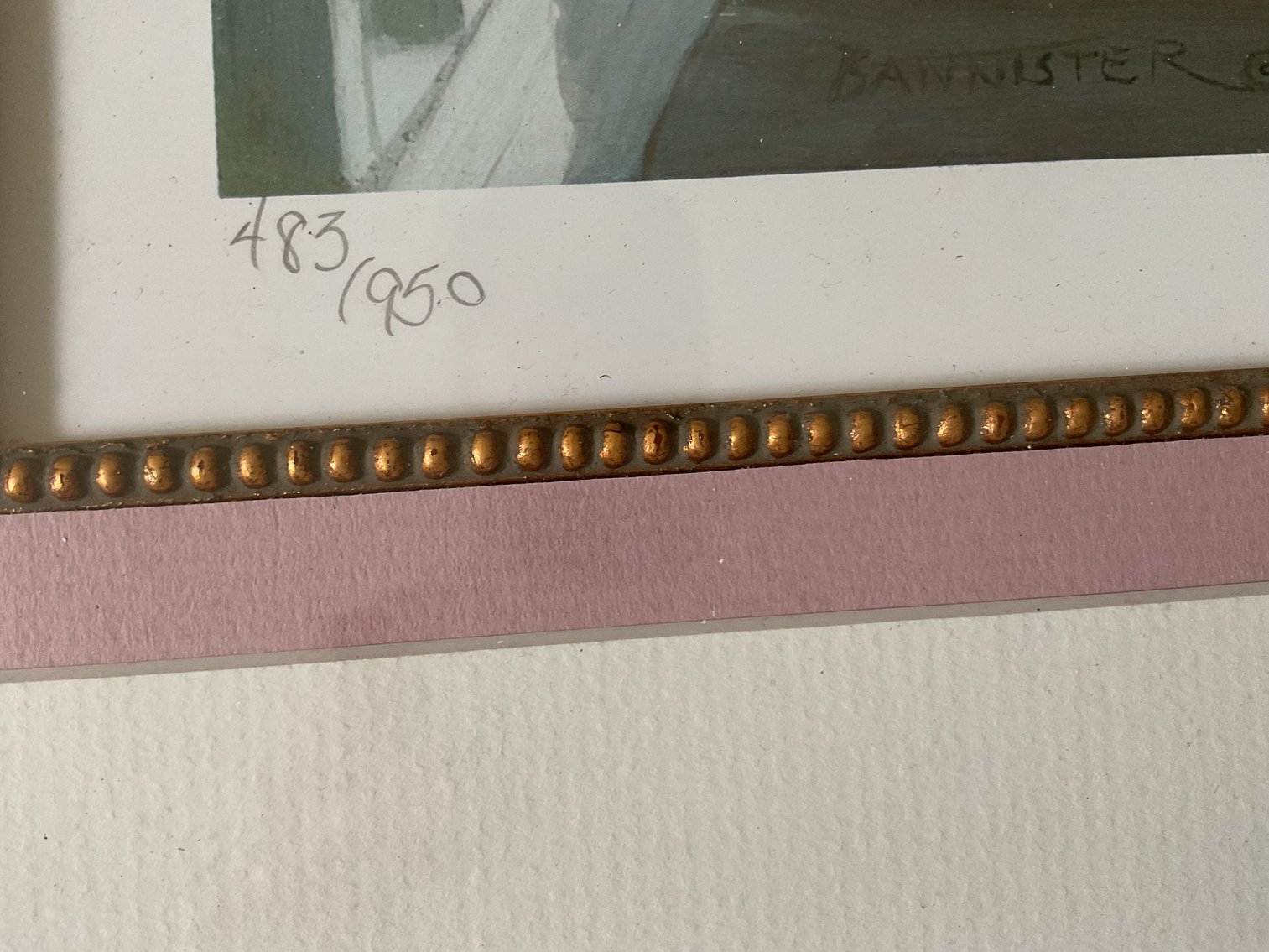 Image for Print in Professional Frame