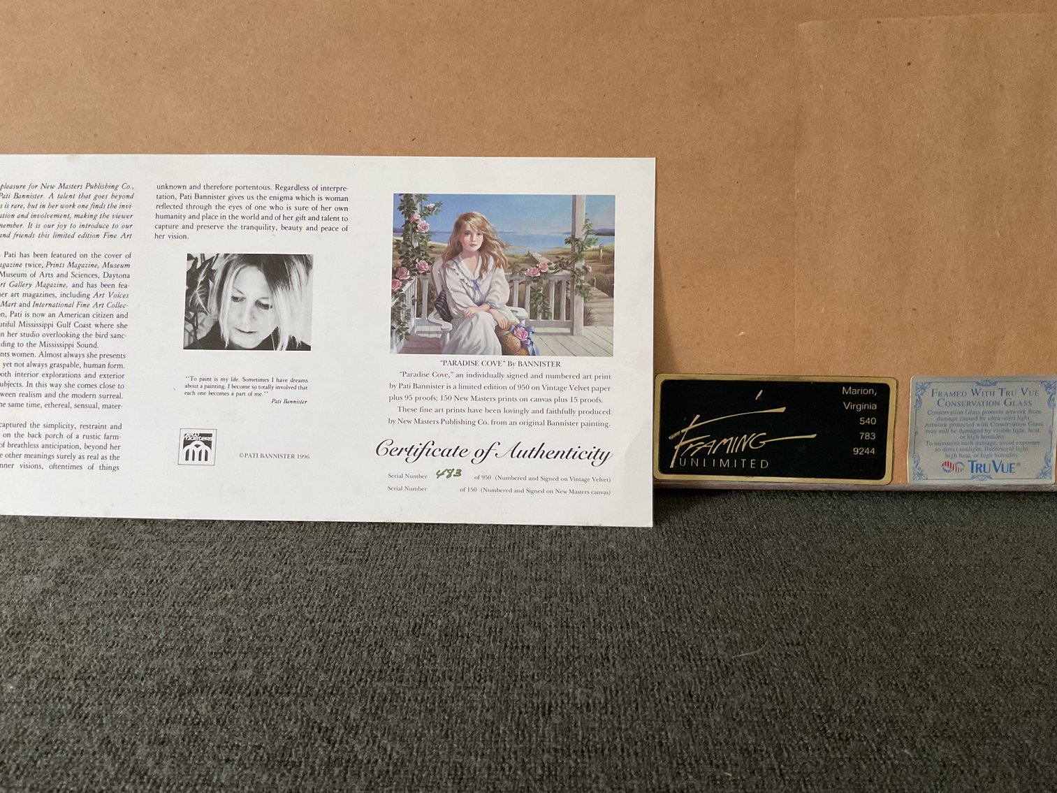 Image for Print in Professional Frame