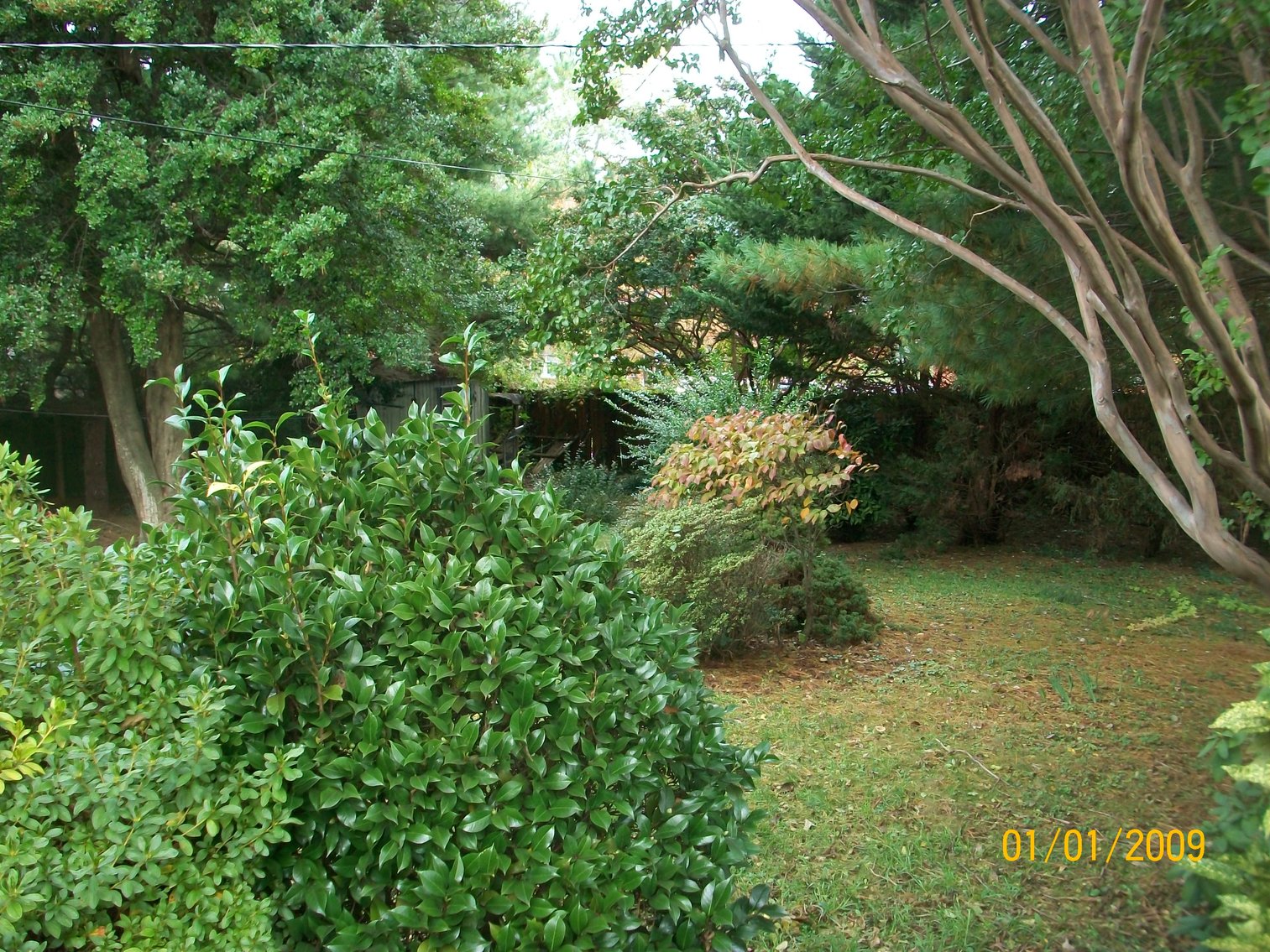 Image for Cash Auction - Roanoke