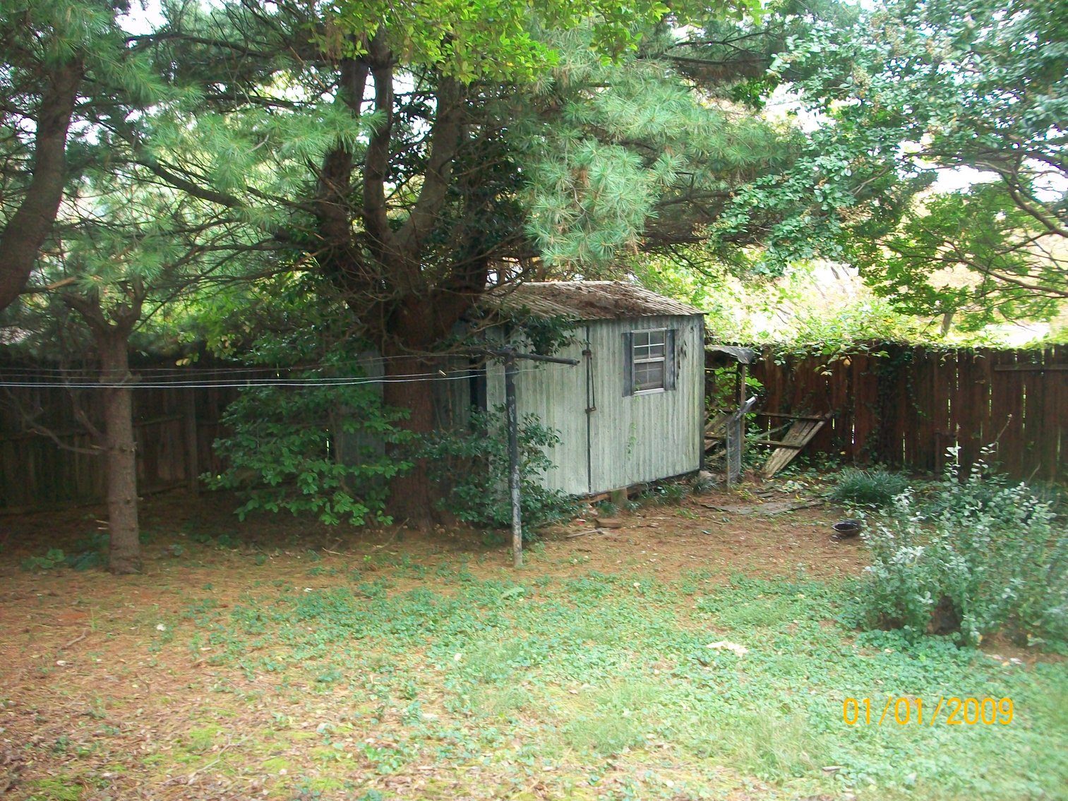 Image for Cash Auction - Roanoke