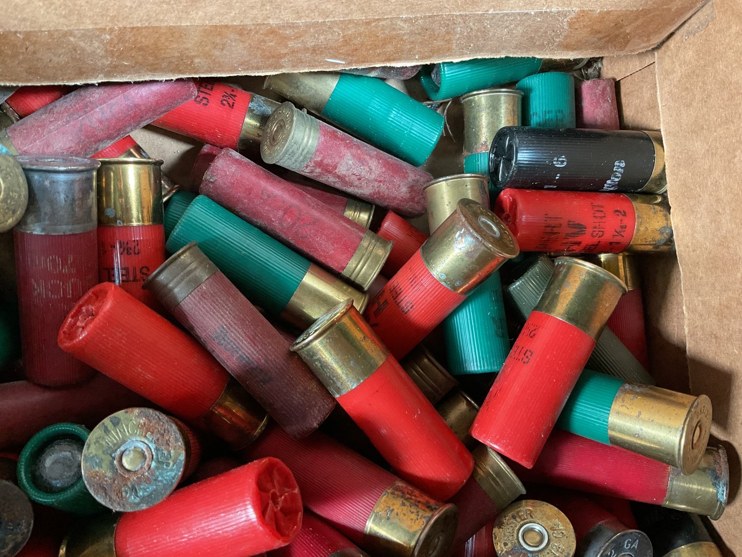 Image for Loose Shotgun Shells - 12 and 20 Gauge