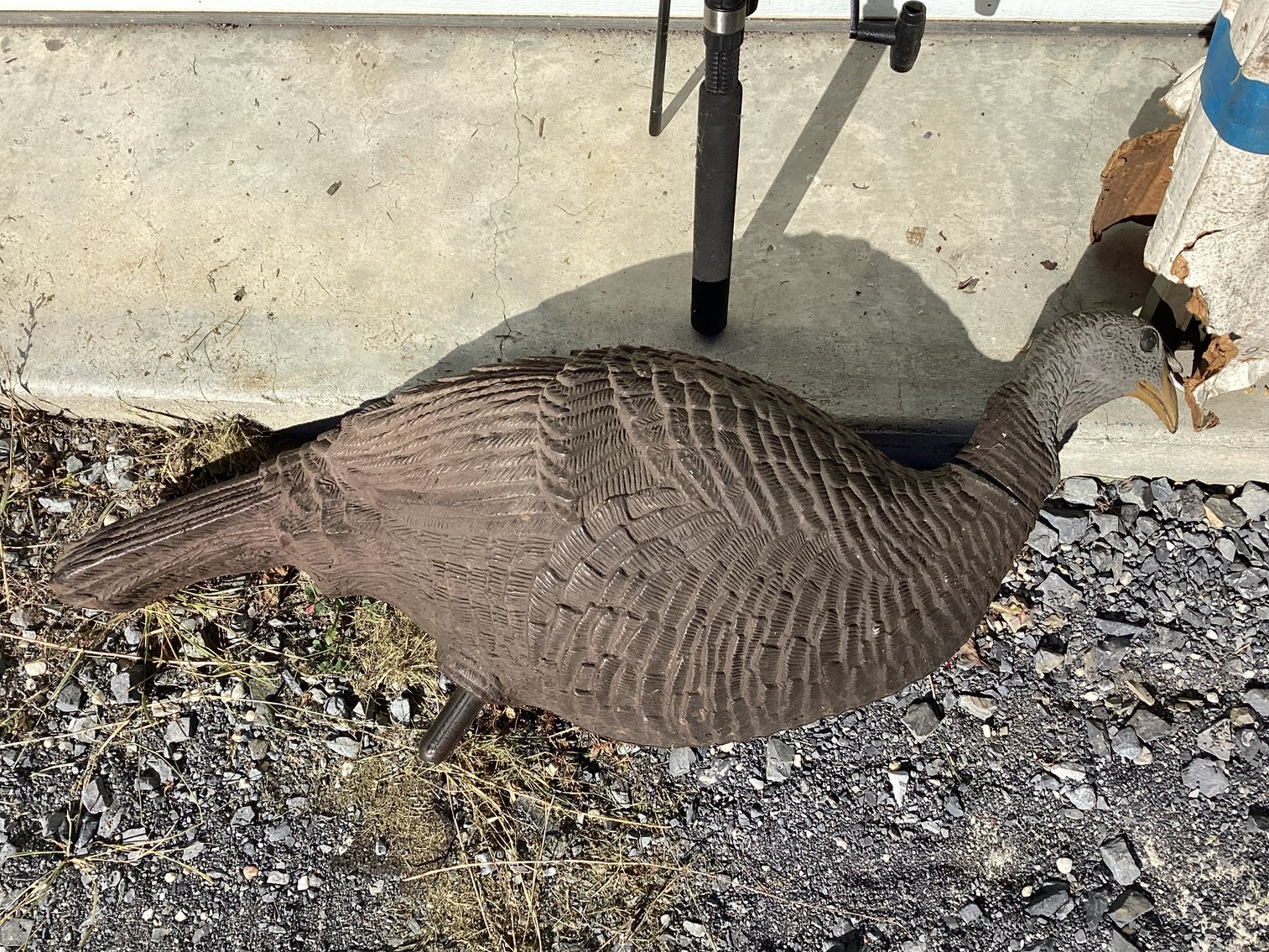 Image for Sportsman’s Lot