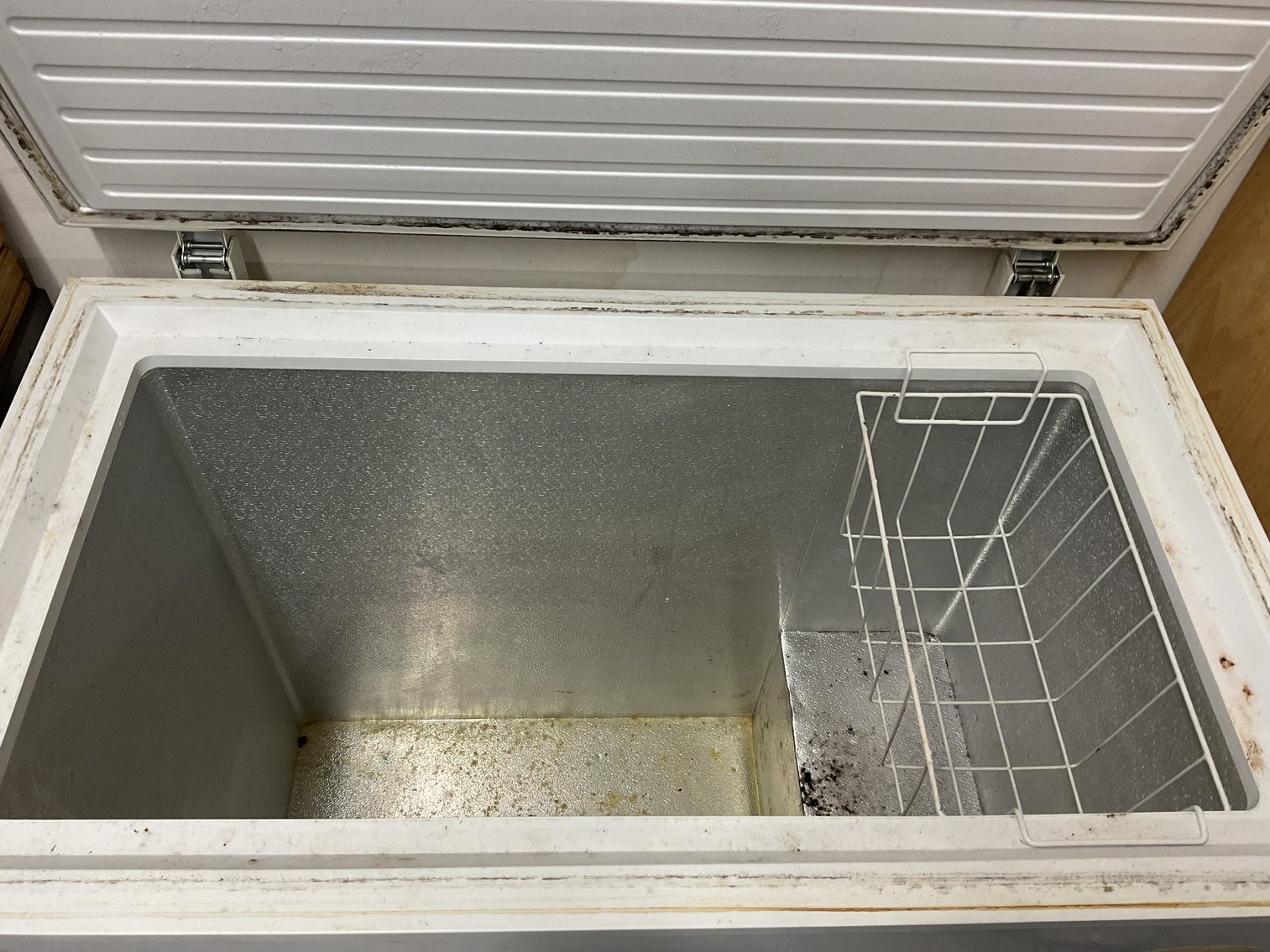 Image for Holiday Chest Freezer