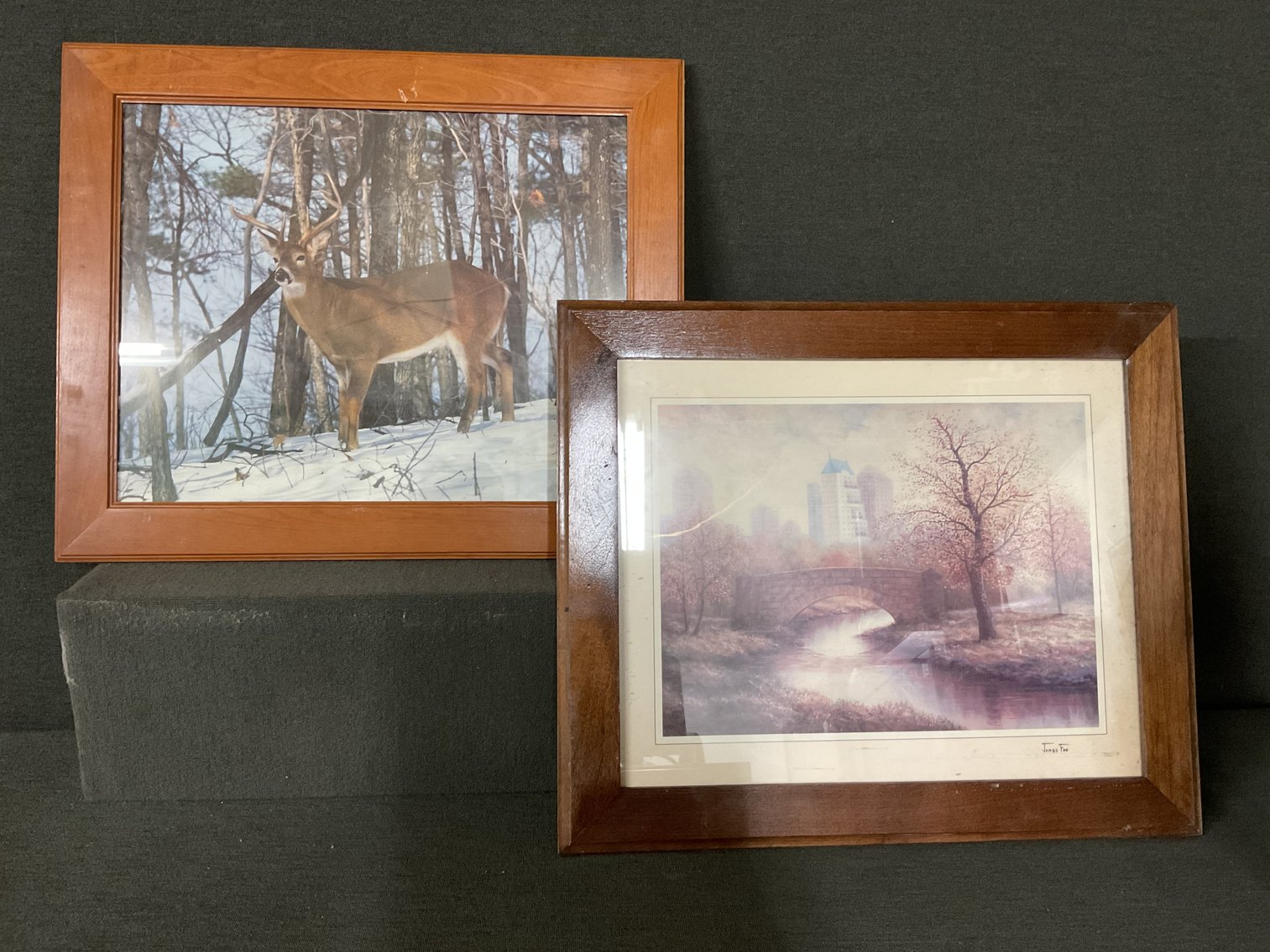 Image for Prints in Frames