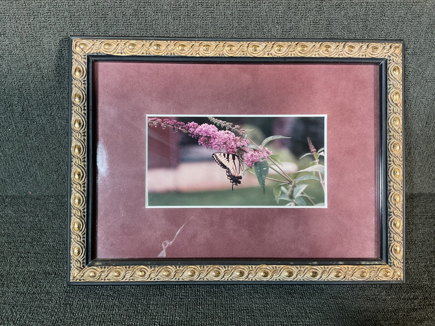 Image for Framed Photo