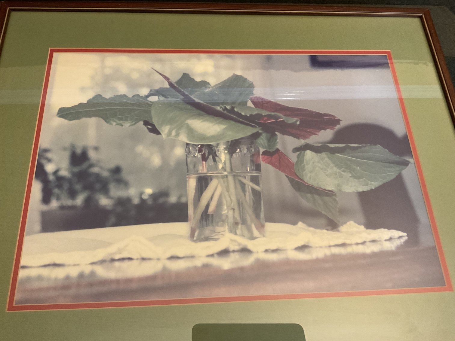 Image for Still Life Photo