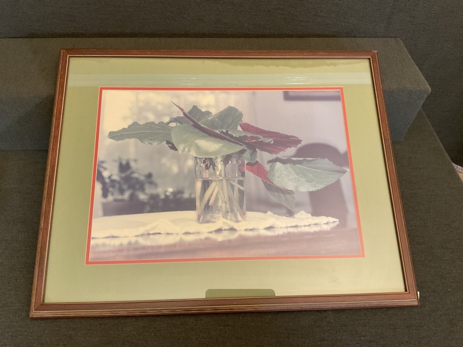 Image for Still Life Photo