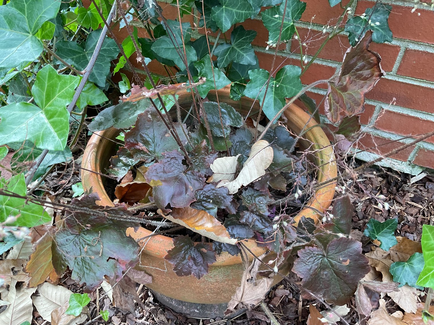 Image for Nice Terra Cotta Planter