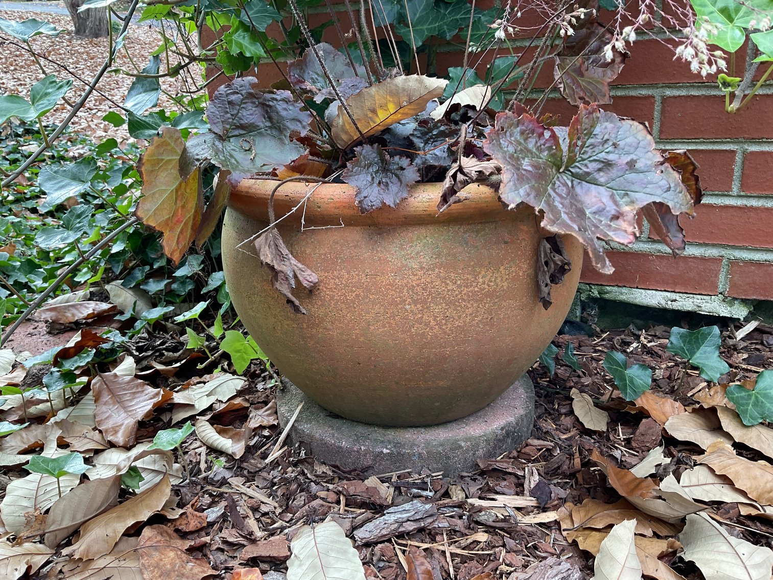 Image for Nice Terra Cotta Planter