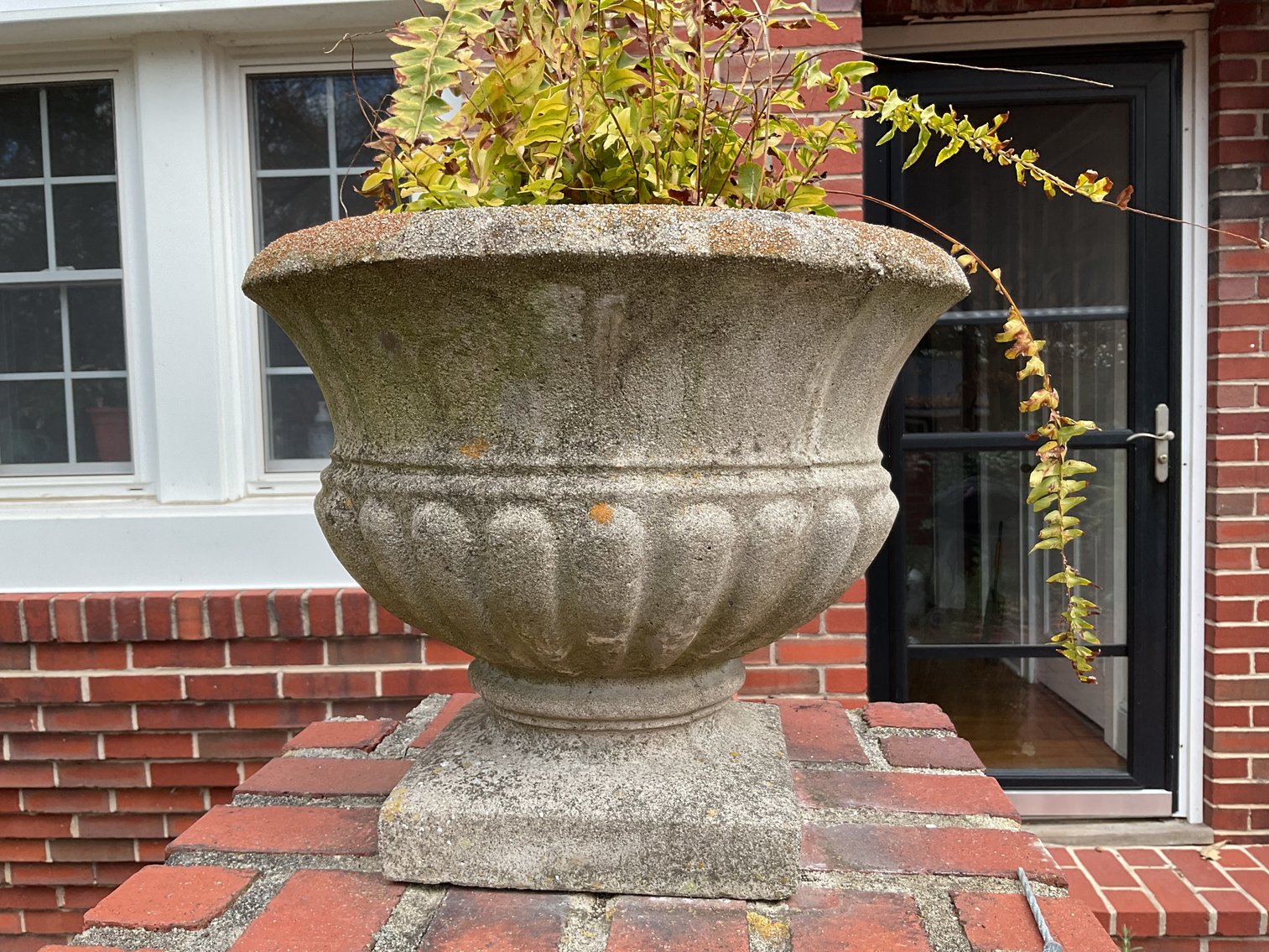 Image for Pair of Concrete Urns