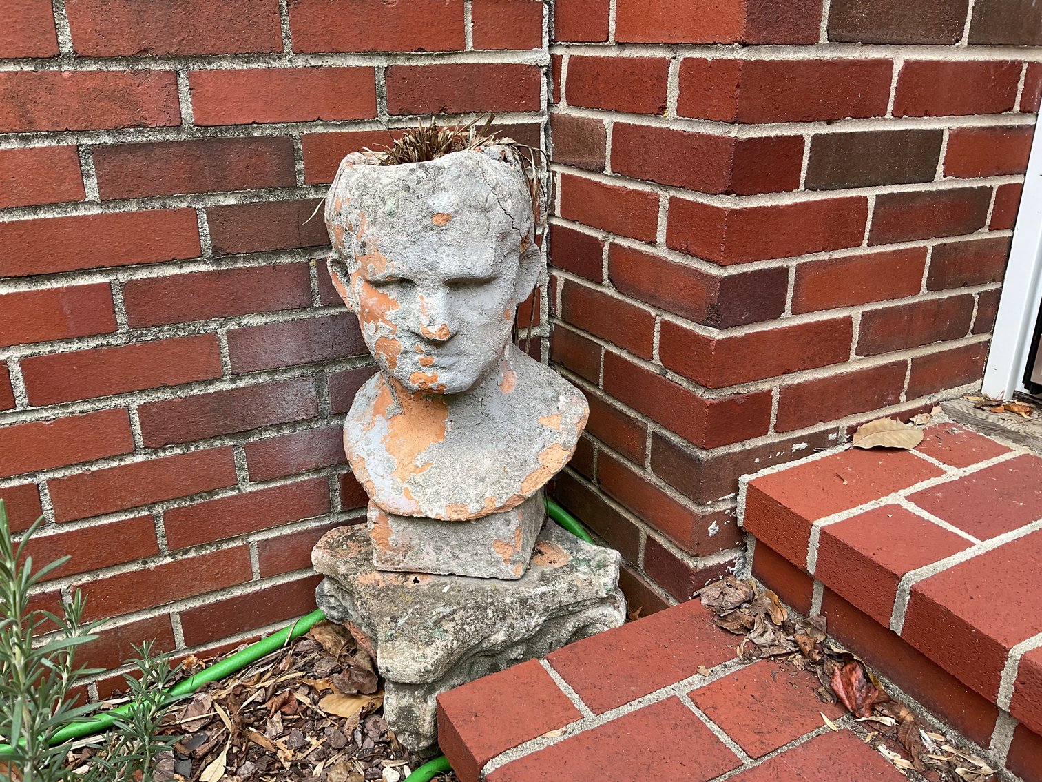 Image for Planter - Damaged