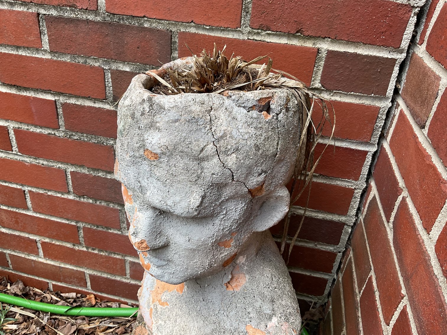 Image for Planter - Damaged