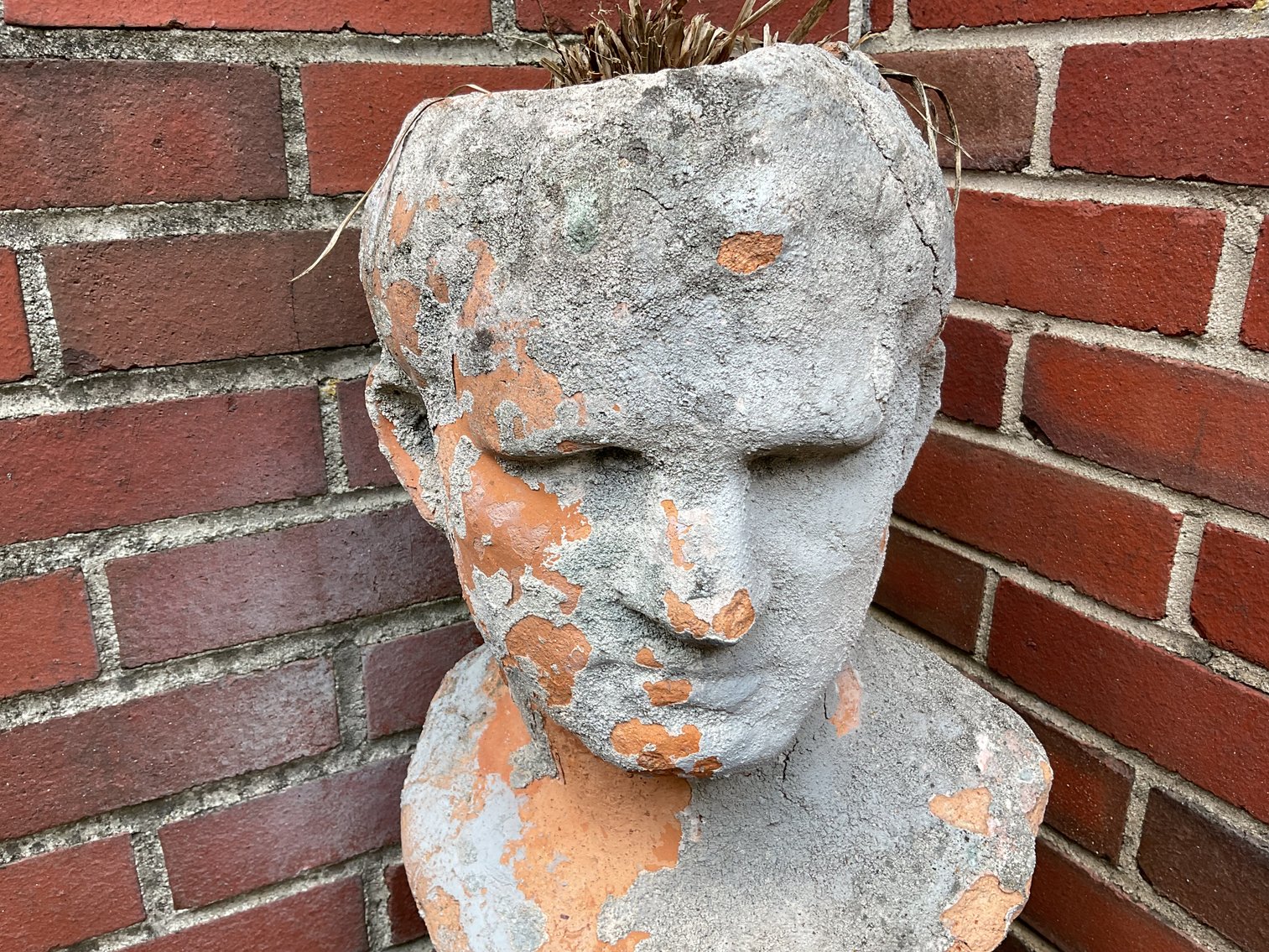 Image for Planter - Damaged