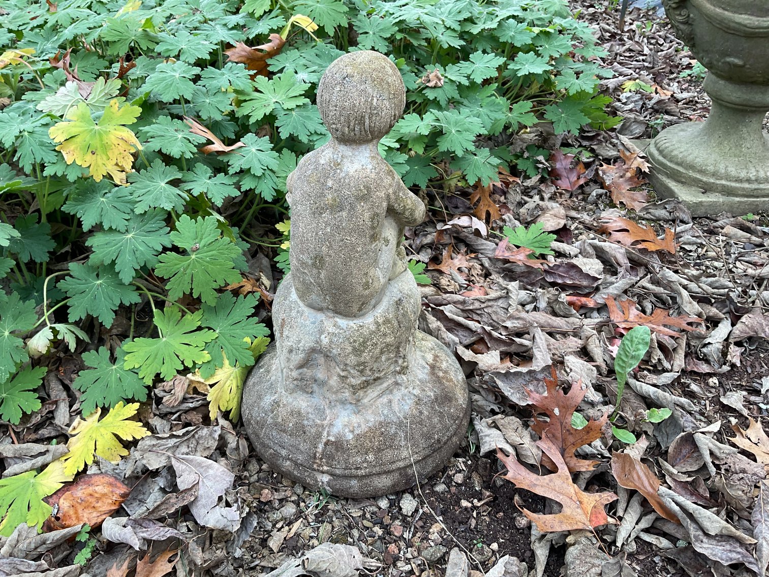 Image for Concrete Cherub