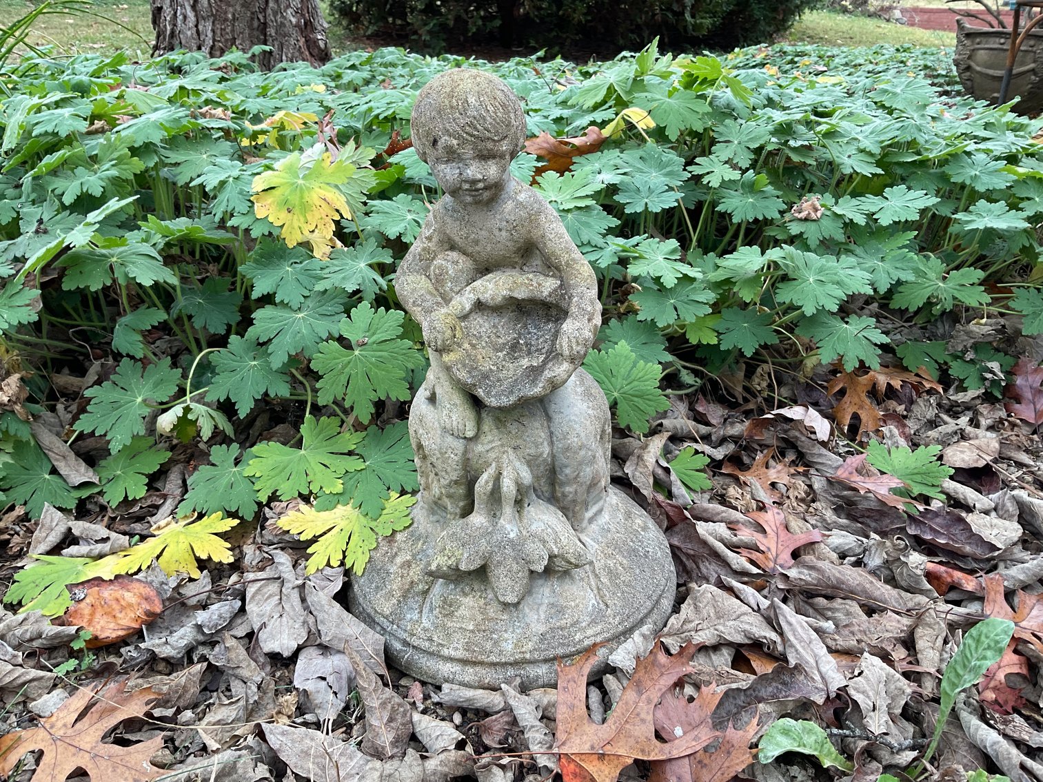 Image for Concrete Cherub