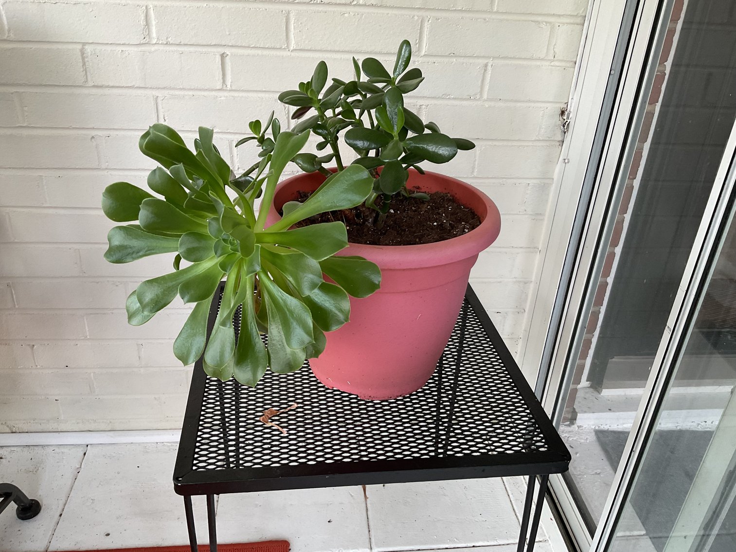 Image for Wrought Iron Table