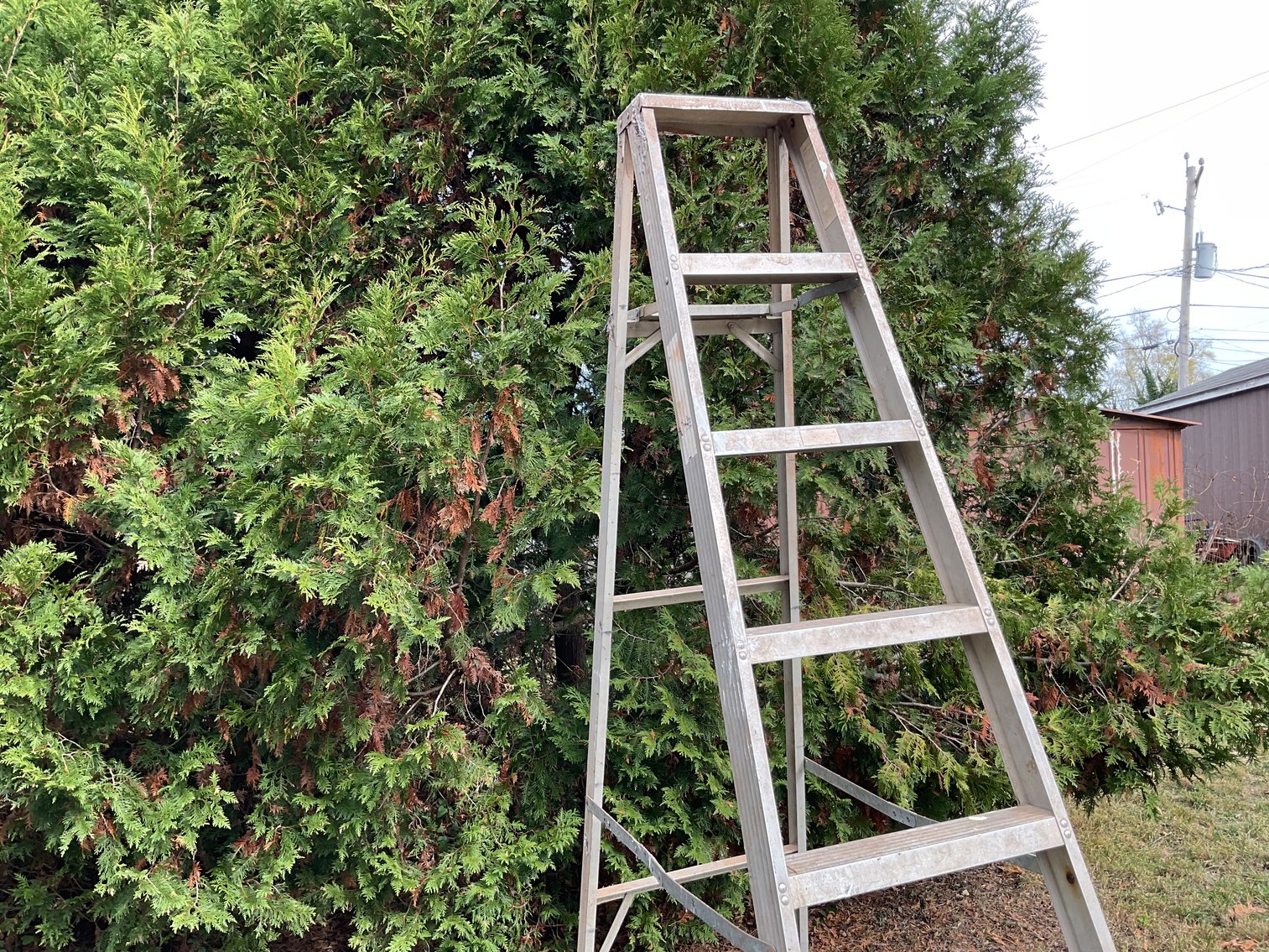 Image for 8’ Aluminum Ladder