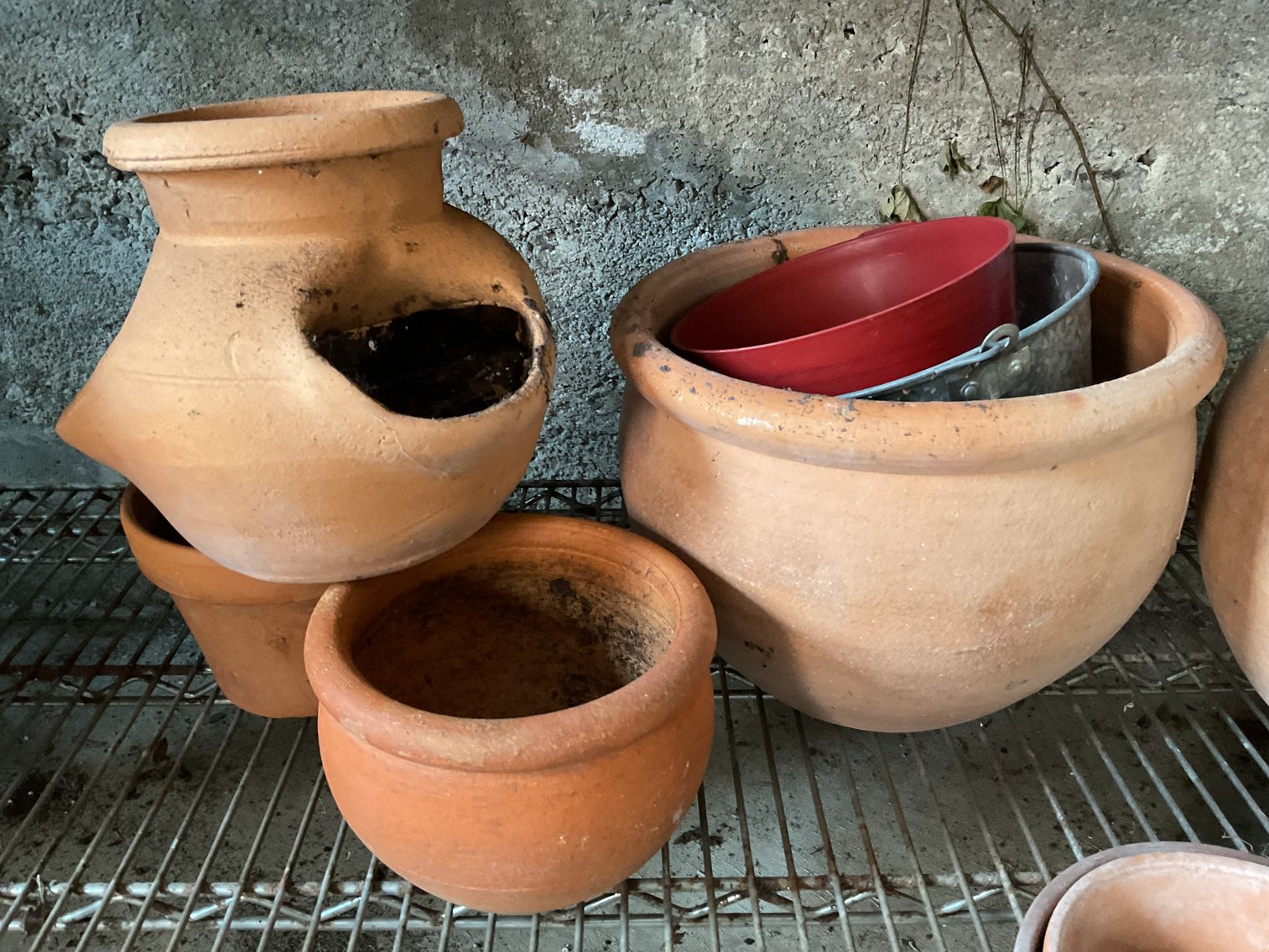 Image for Terra Cotta Planters
