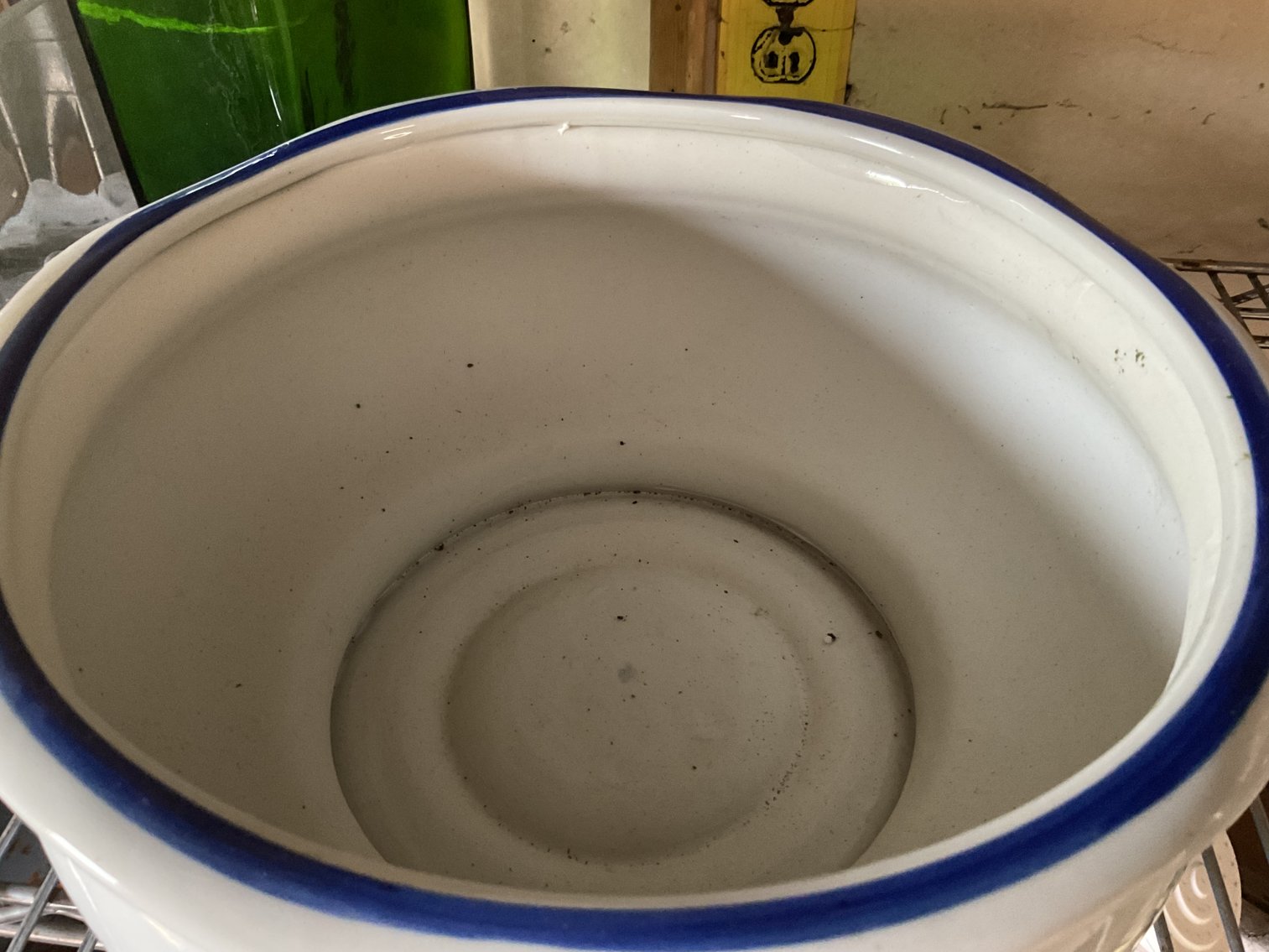 Image for Planter and Forcing Vases