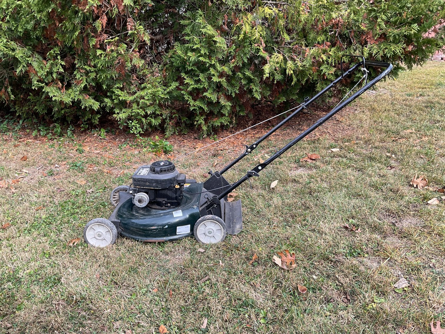 Image for Bloens  Mower