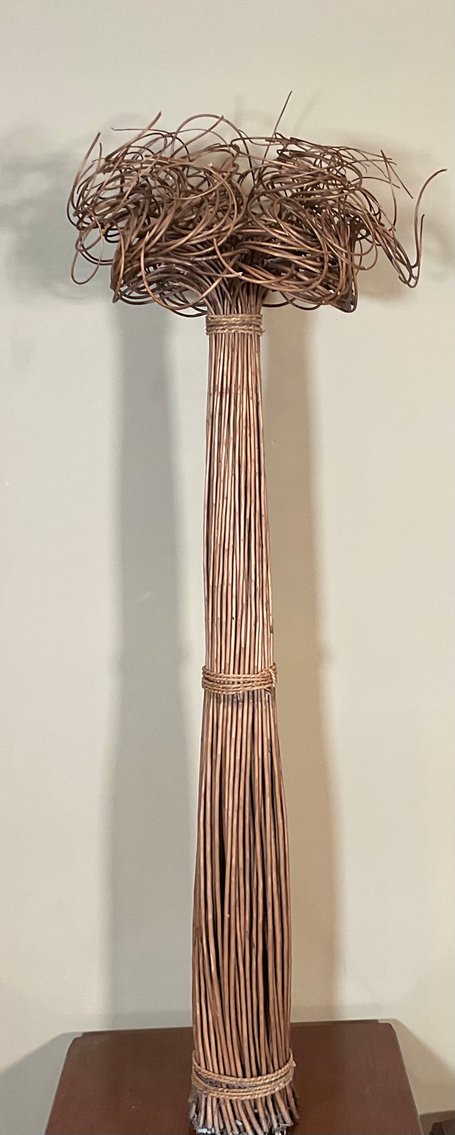 Image for Decorative Reeds